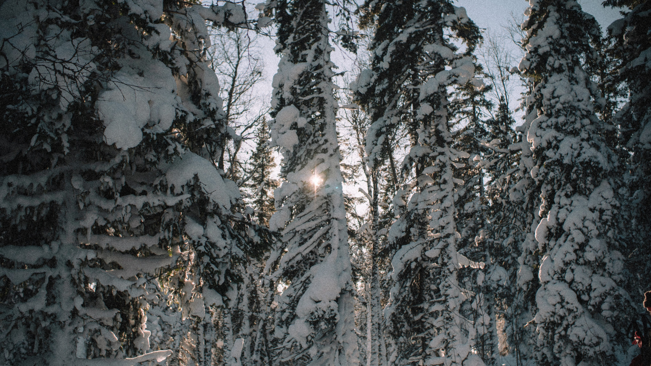 Фотографии из путешествий. NECULTURED PHOTOGRAPHER