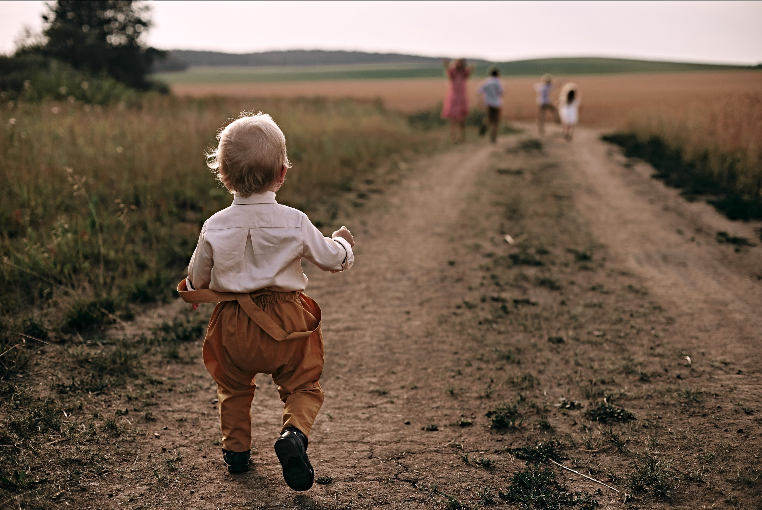 Большая семейная съемка в поле. Главная