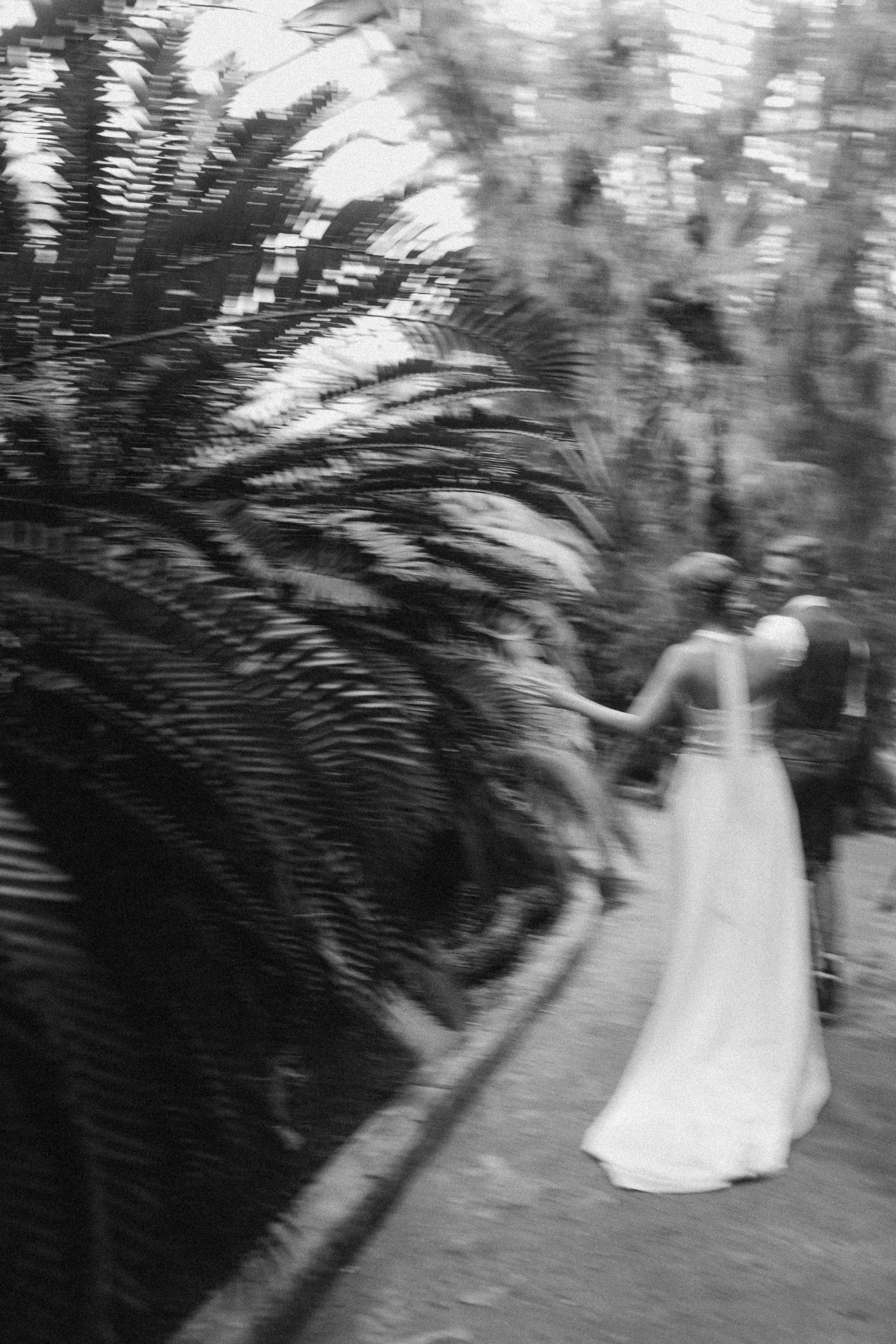 Свадебная фотосессия в Главном Ботаническом саду и в оранжерее. Свадебный фотограф в Москве Мария Крош