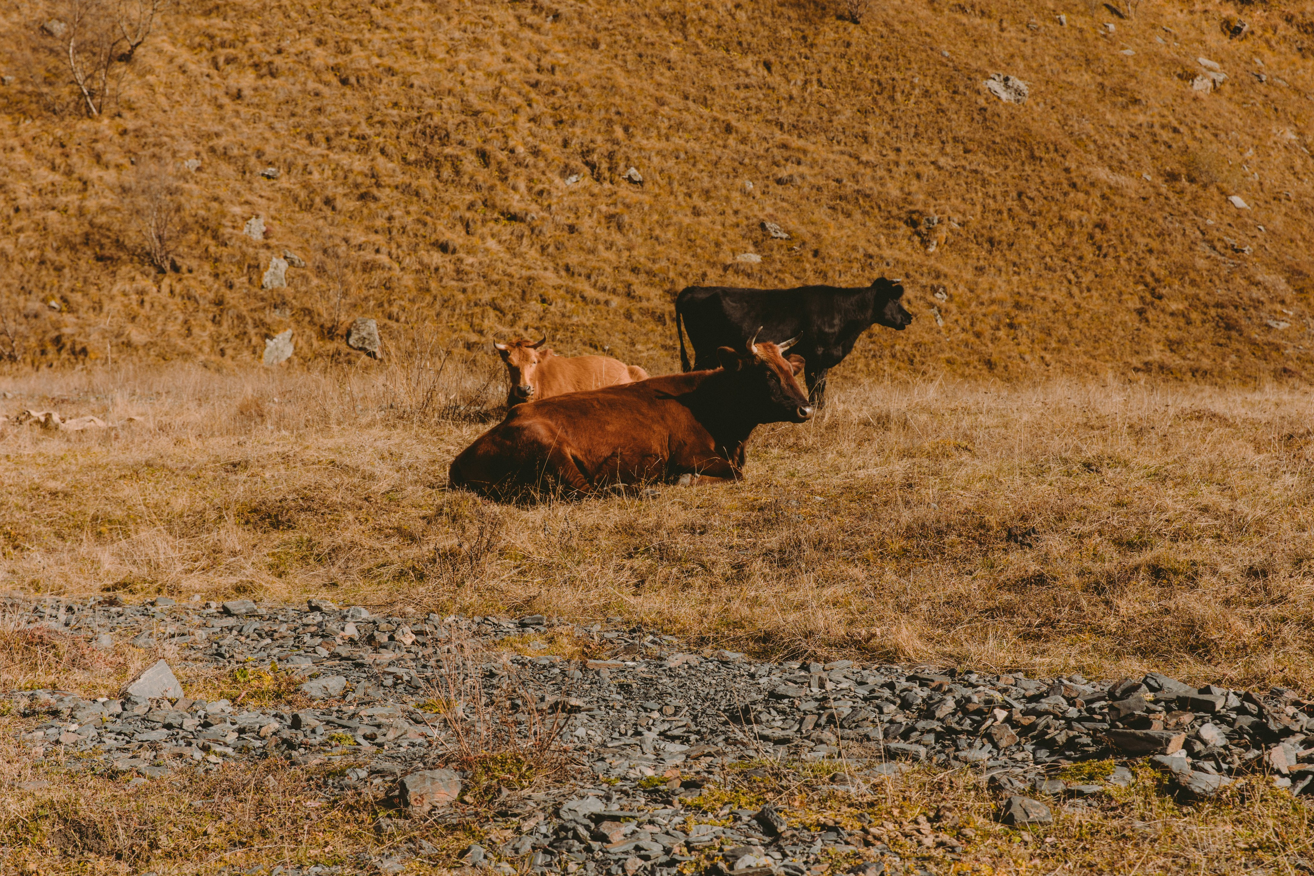 Осетия. Мастерская для создания имиджа от BenSami в Санкт-Петербурге и Москве