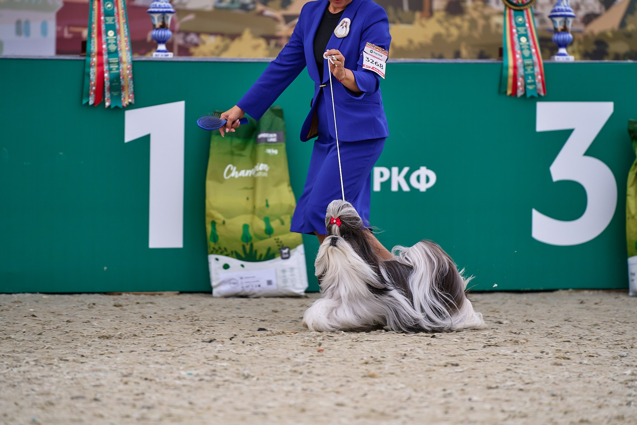 09.06.2024, «РОССИЯ. КУБОК МОСКВЫ 2024 & КУБОК ГОРОДОВ-ГЕРОЕВ»