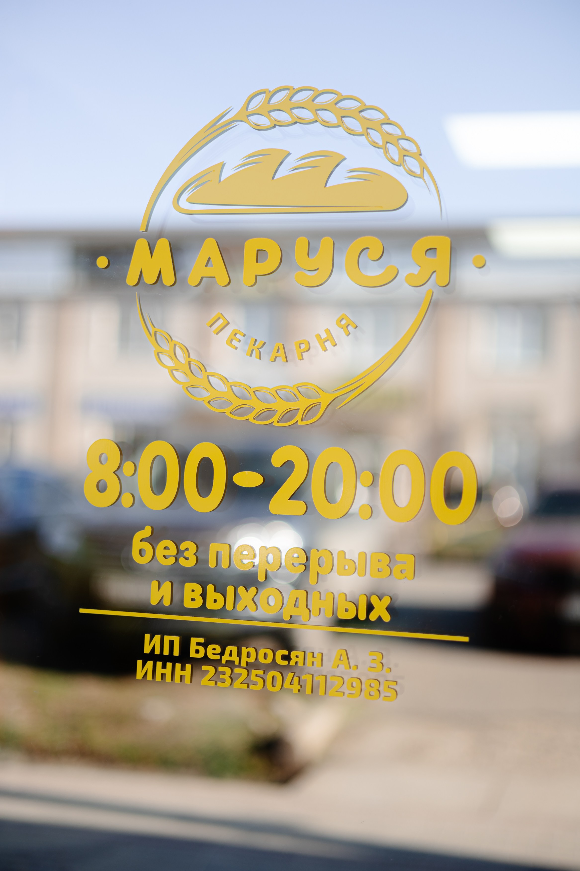 Репортажная фотосессия в горячем ключе. Свадебный фотограф в Горячем Ключе Смирнова Дина