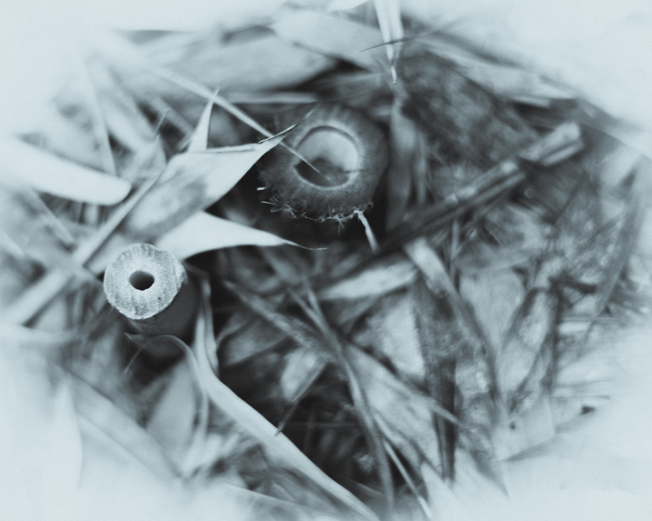 Silence. Главная