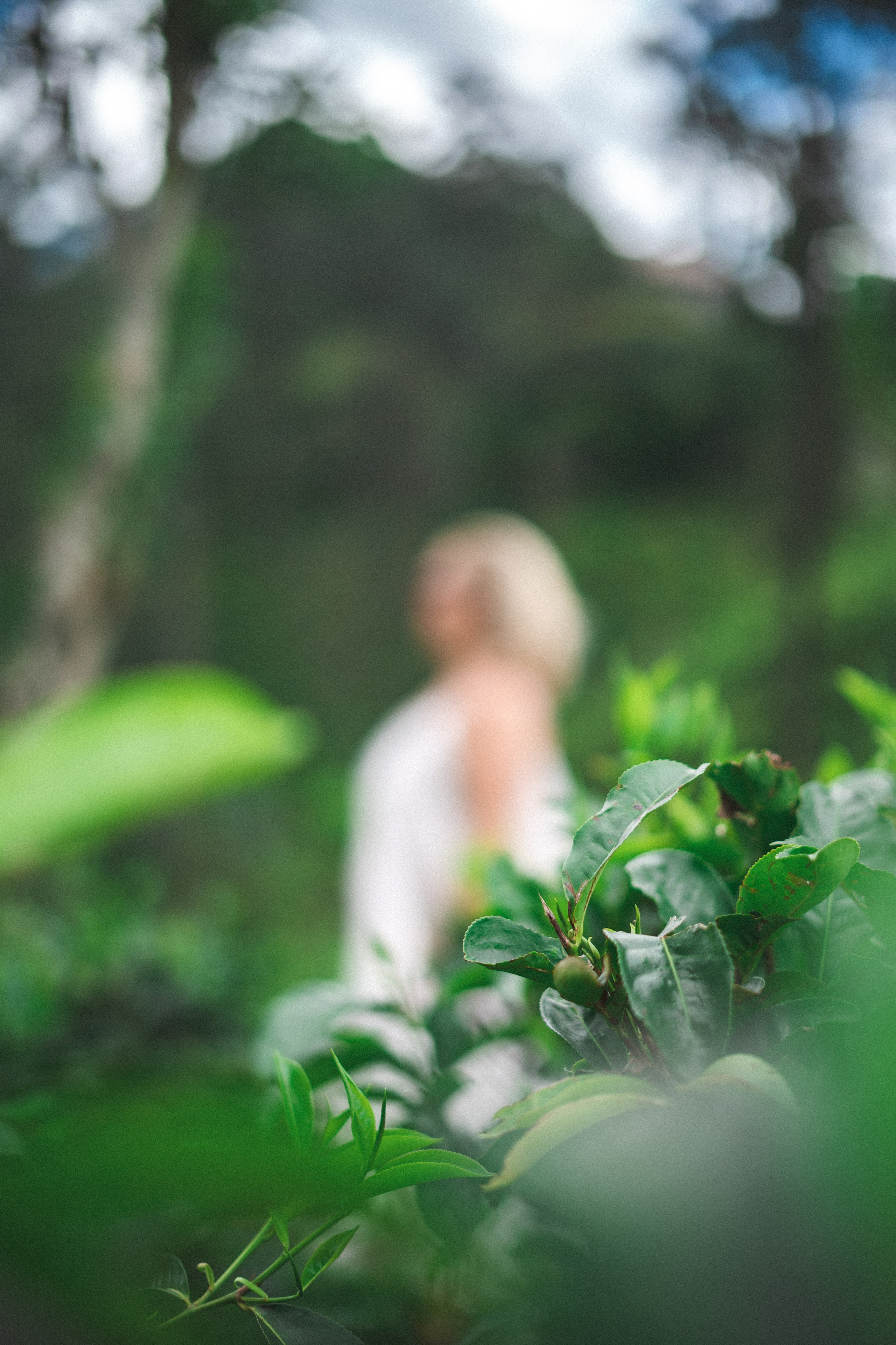 Content shooting for Svetlana’s expert blog during a two-day trip to Ella