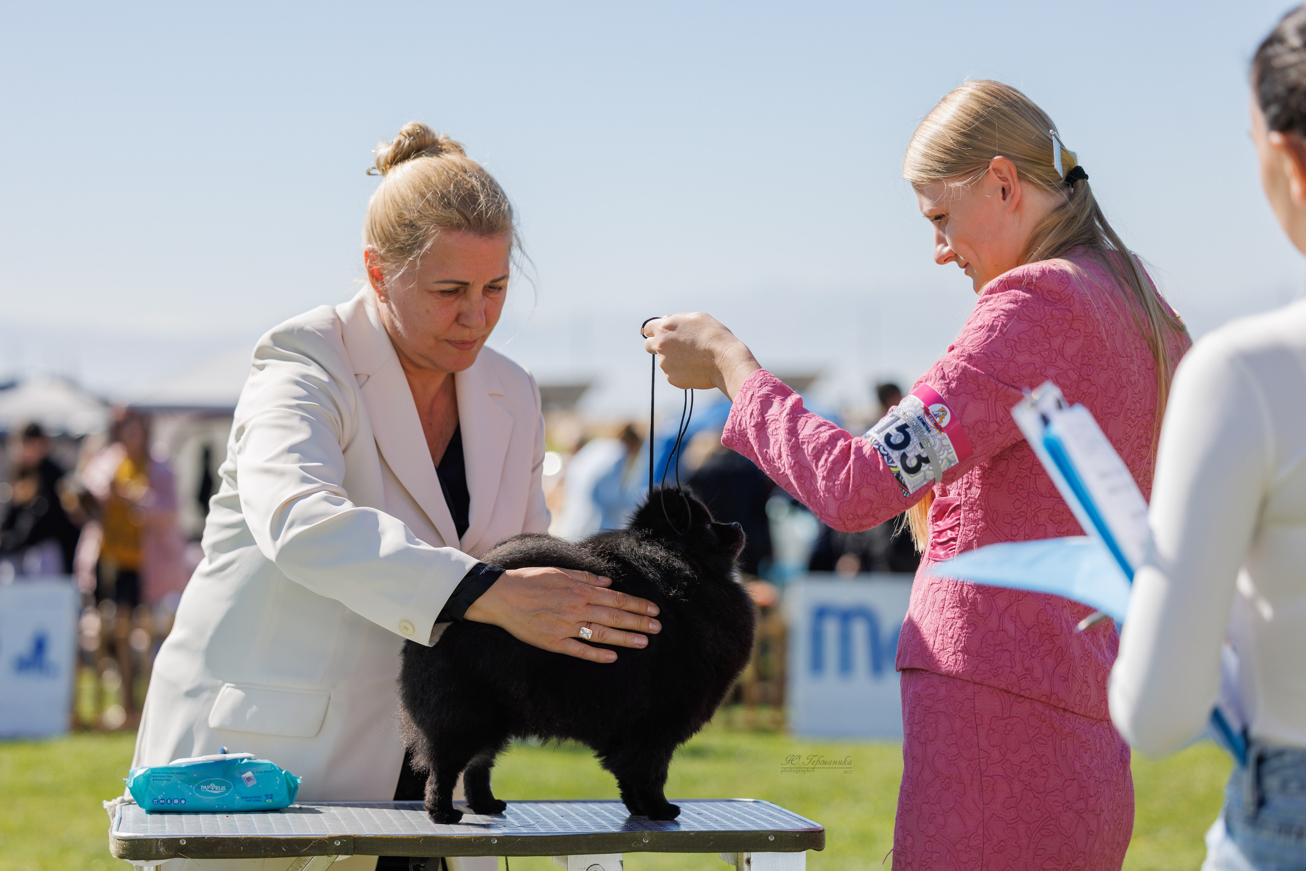 Ереван 14-16.10.2025. Фотограф-анималист Юлия Германика