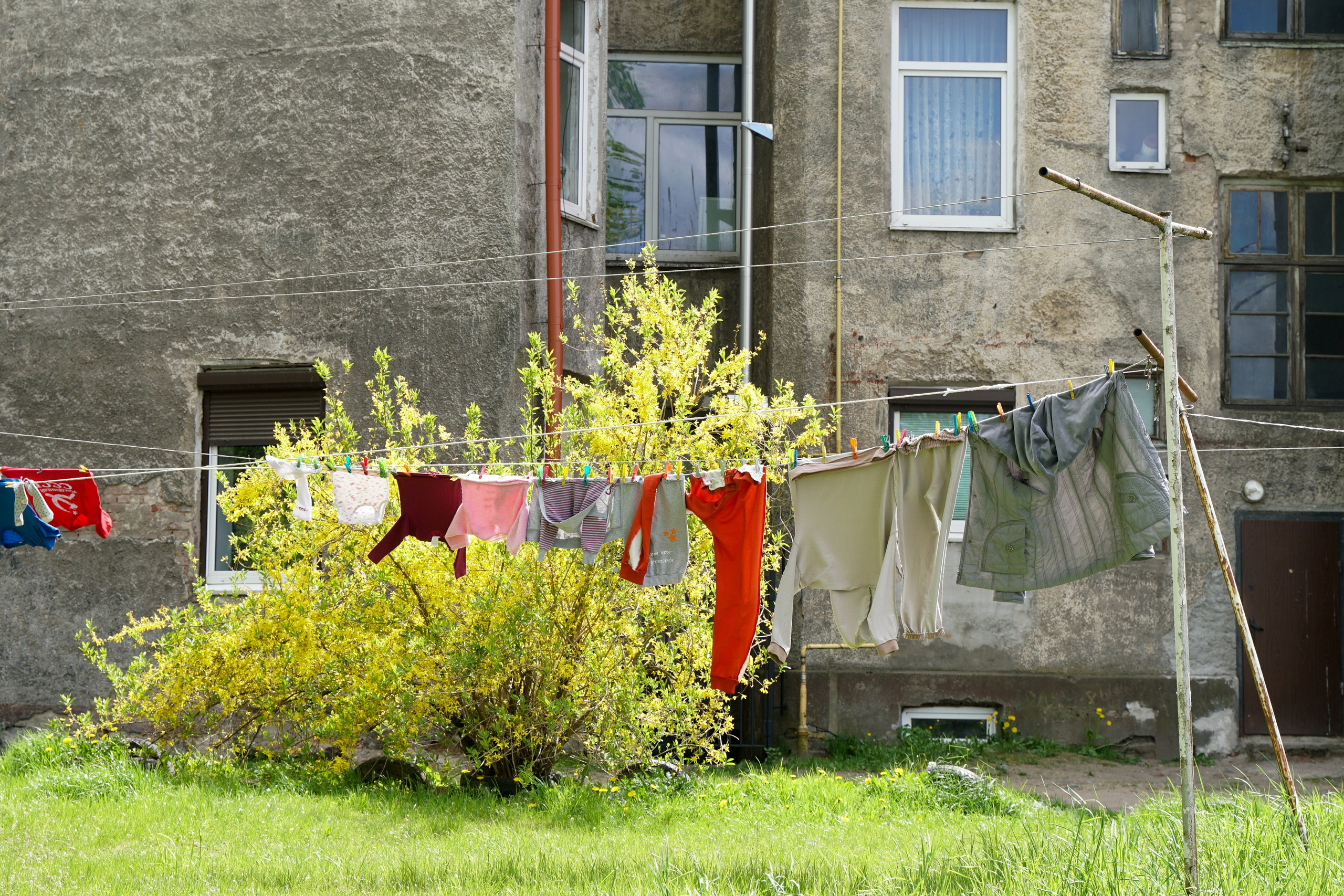 СОВЕТСК, ЧЕРНЯХОВСК. Фотограф Наталья Погодина в г. Обнинске