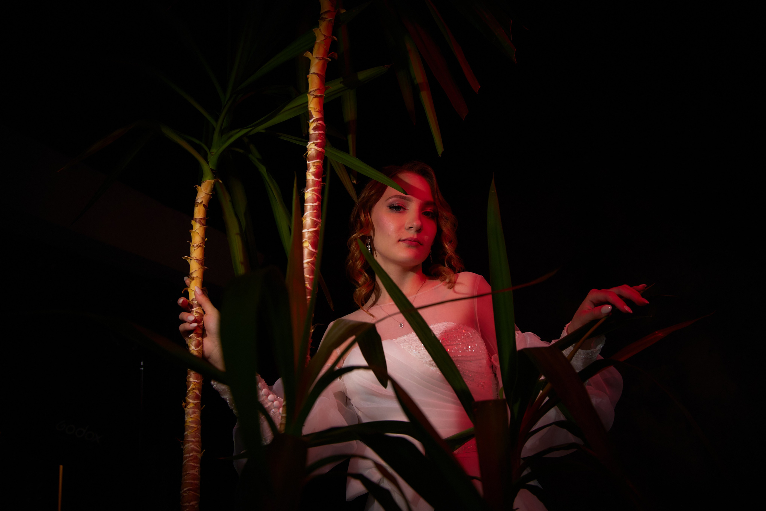 Свадебная фотосессия в фотостудии Дмитрия и Екатерины. Свадебный видеограф и свадебный фотограф в Самаре Олег Слеб