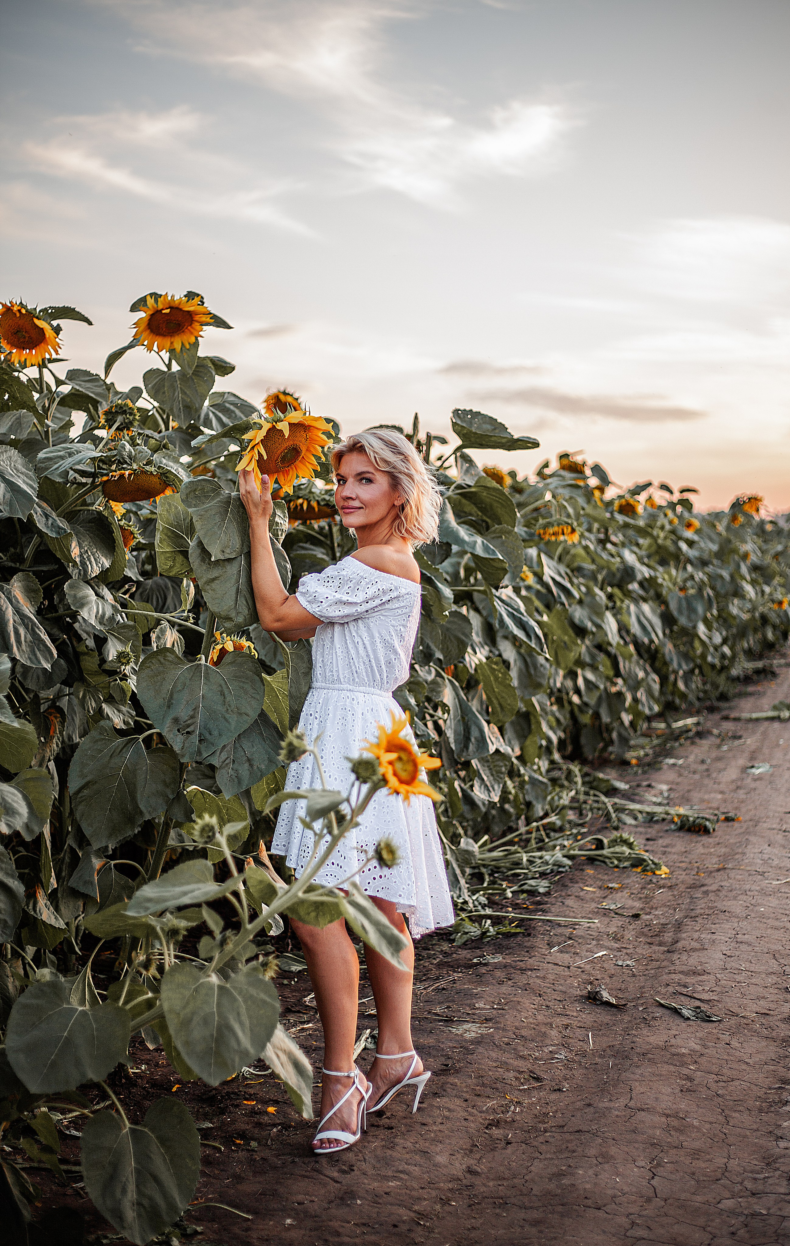 Подсолнухи!