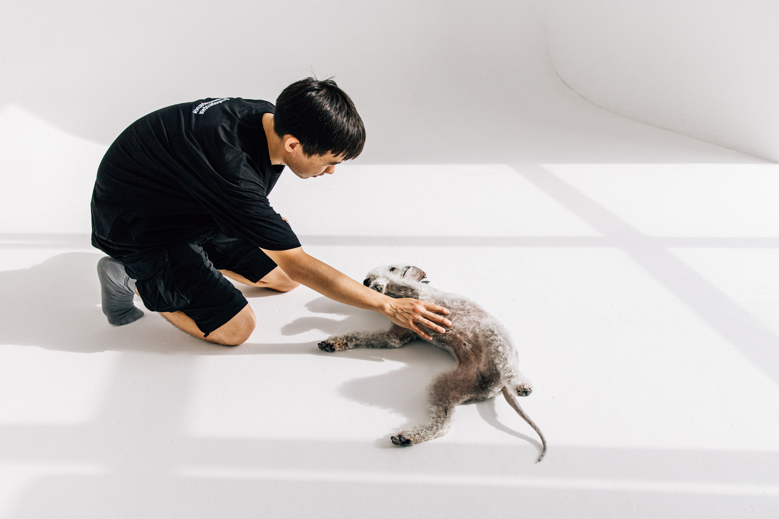 Лаборатория Канистерапии. Фотограф-анималист в Москве Соломонова Варвара