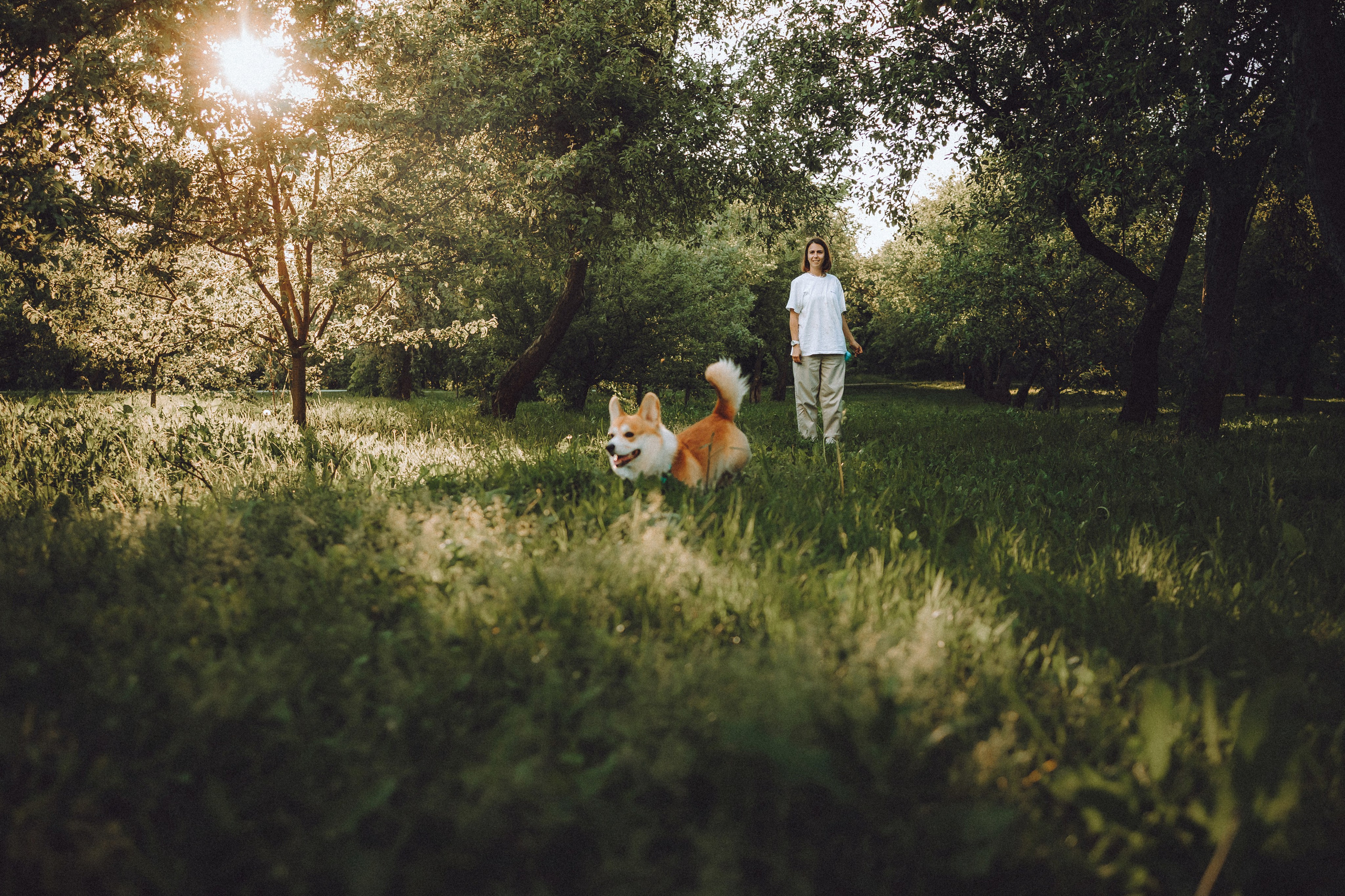 Вирджик и его семья