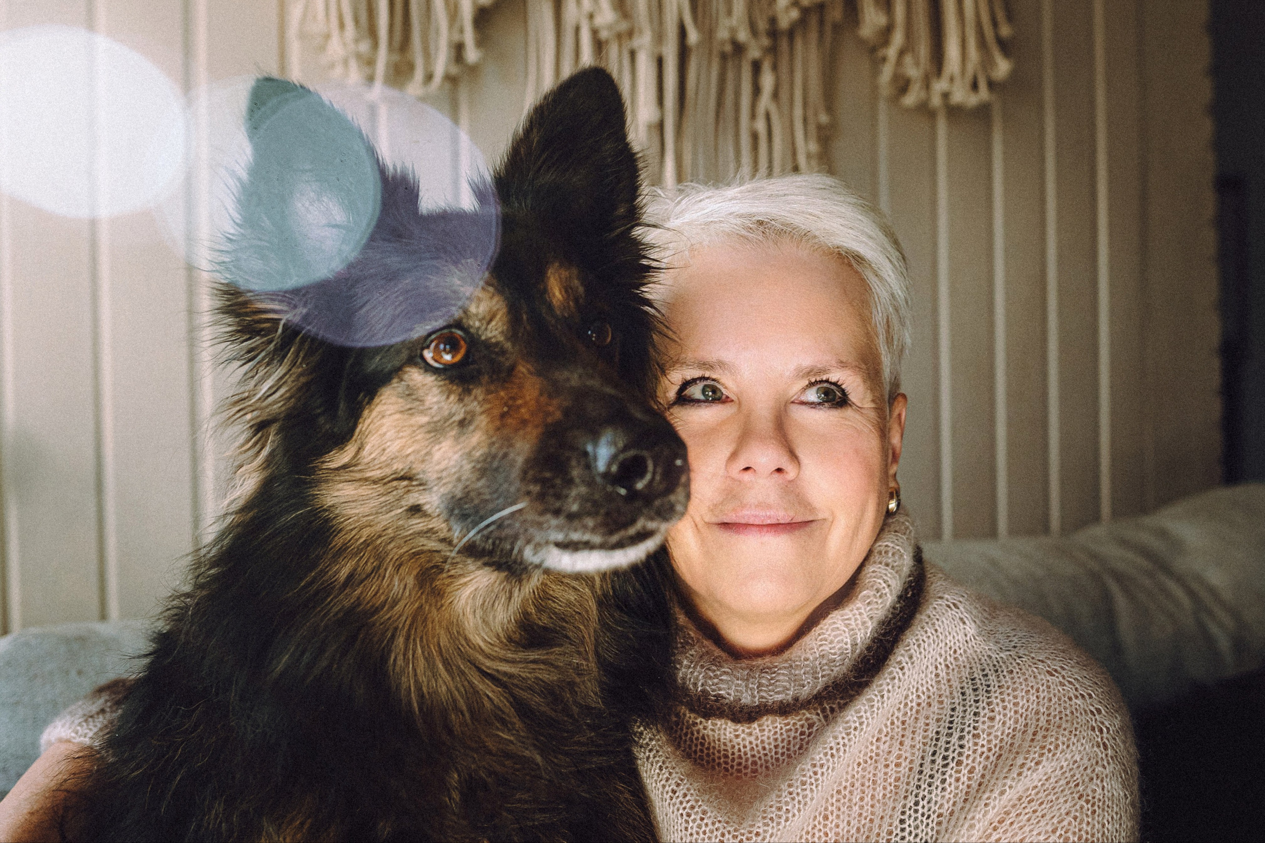 Плюш, Айса и их семья