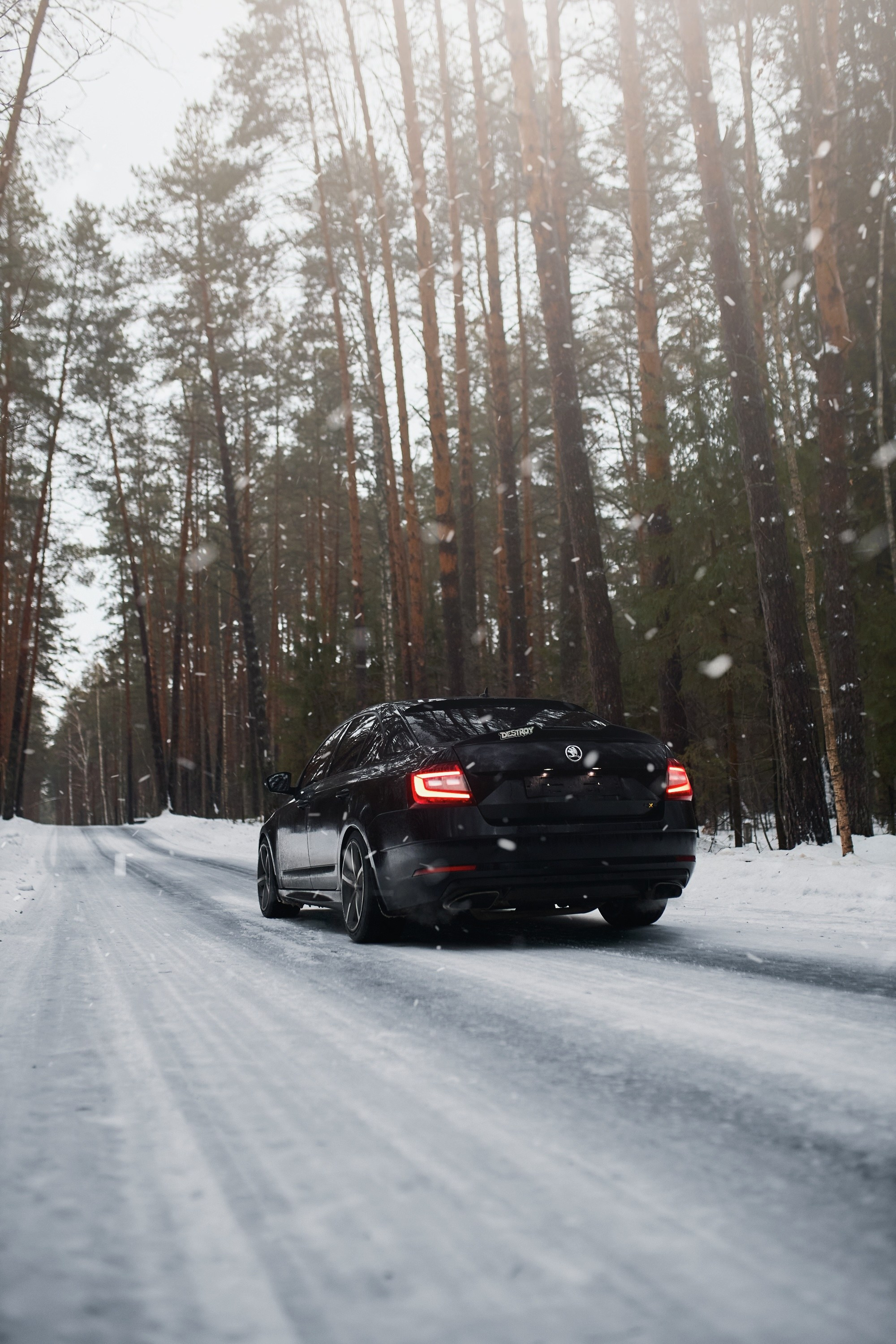 Skoda Octavia | @fuck_credit. DKARPOCHEVA PHOTOGRAPHY