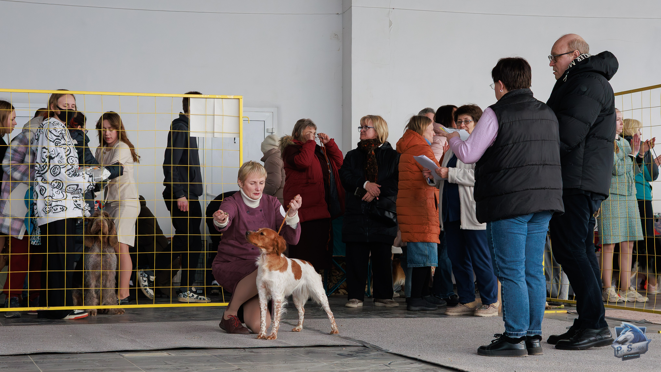 Выставки. Фотограф Марк Файзулин