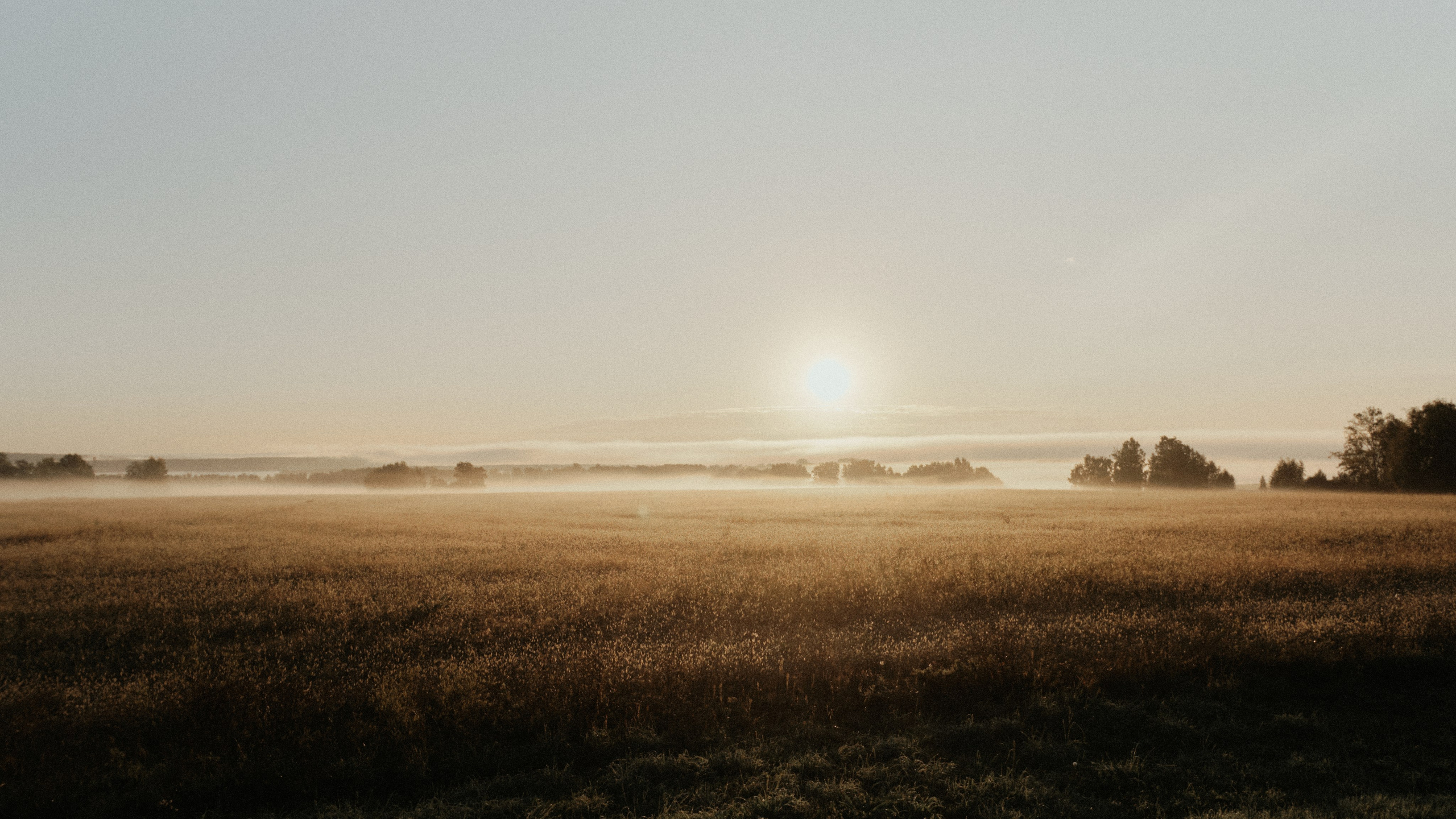Наблюдения. Семейный фотограф в Новосибирске Артём Кузнецов
