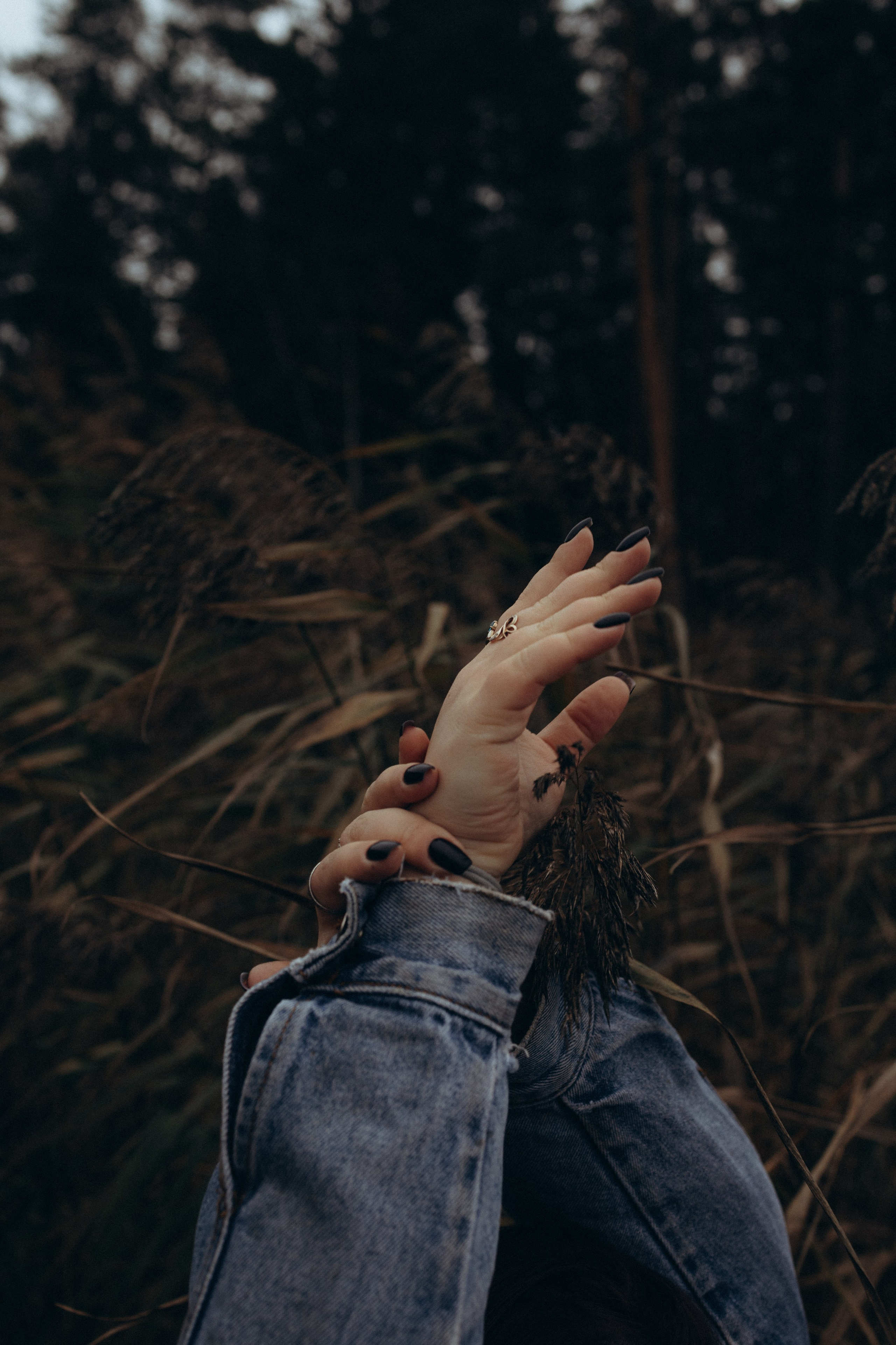 Настя. Фотограф Москва Алёна Суворова