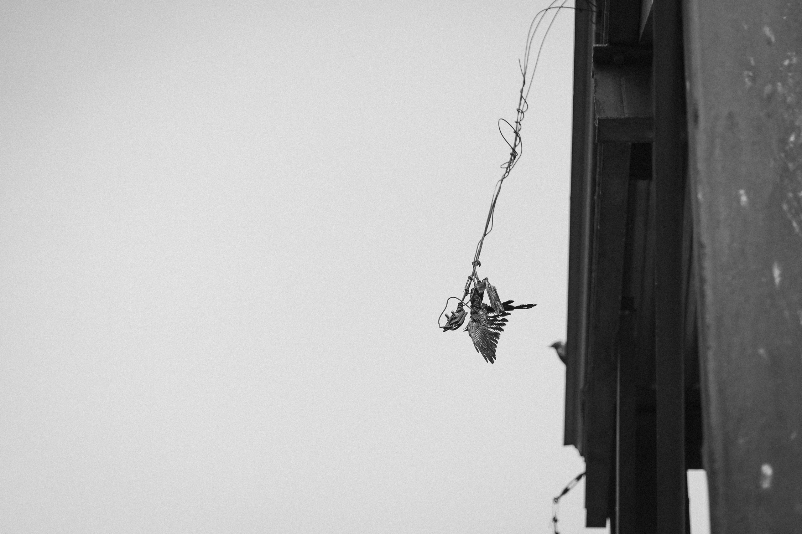 МусорАрт. Фотоким