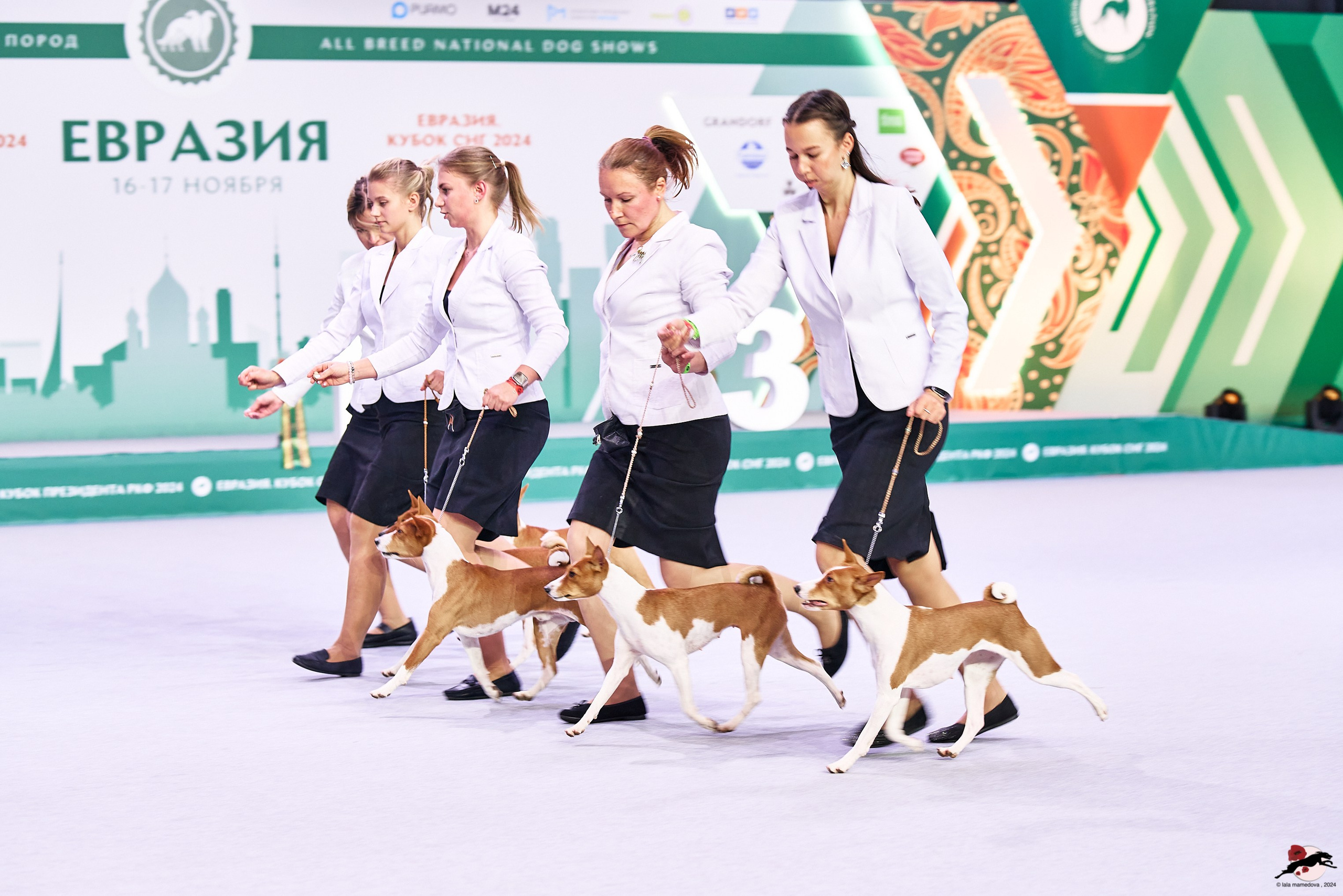 16.11.2024 «ЕВРАЗИЯ. КУБОК ПРЕЗИДЕНТА РКФ 2024»