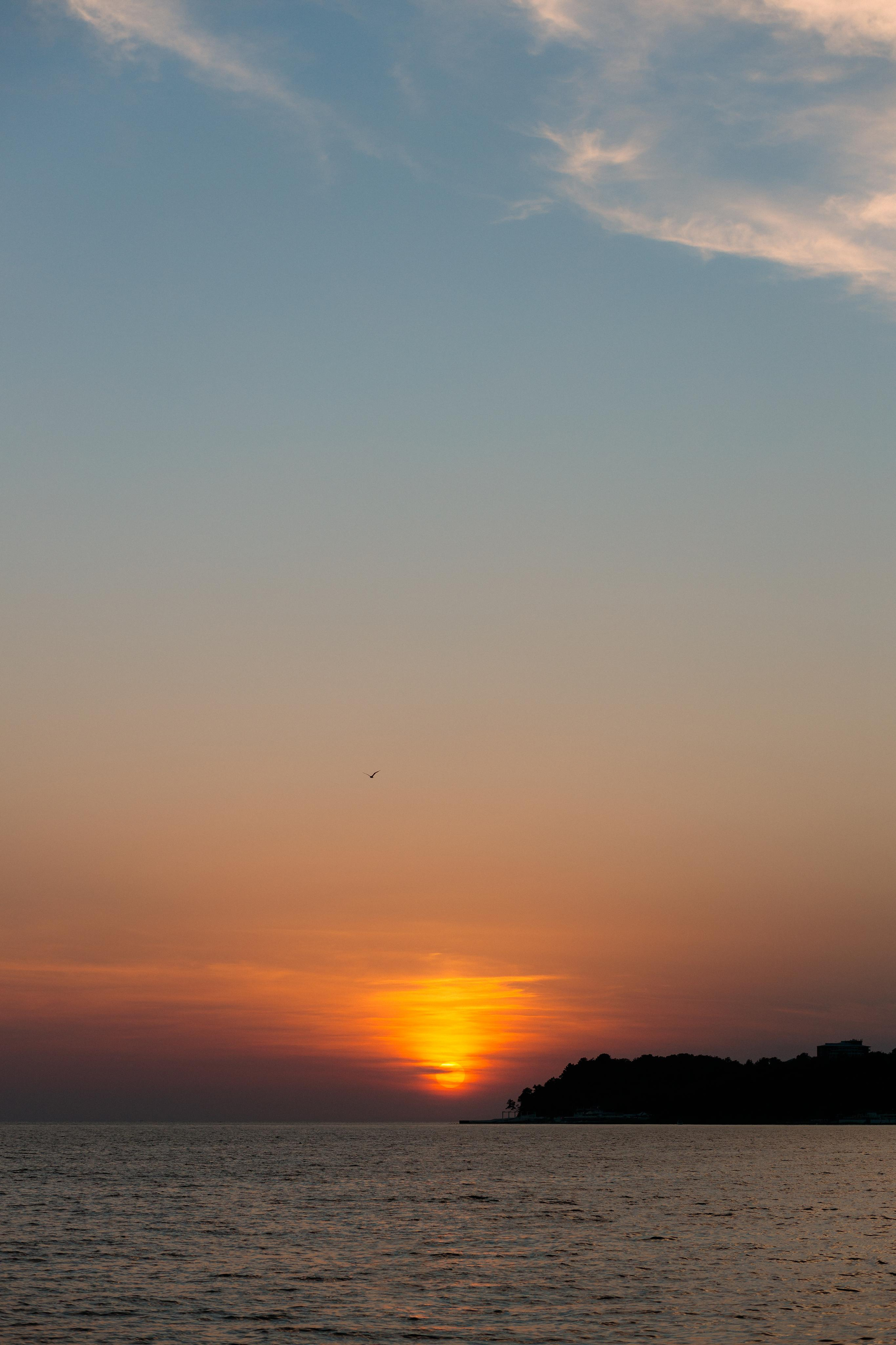 Елизавета и София