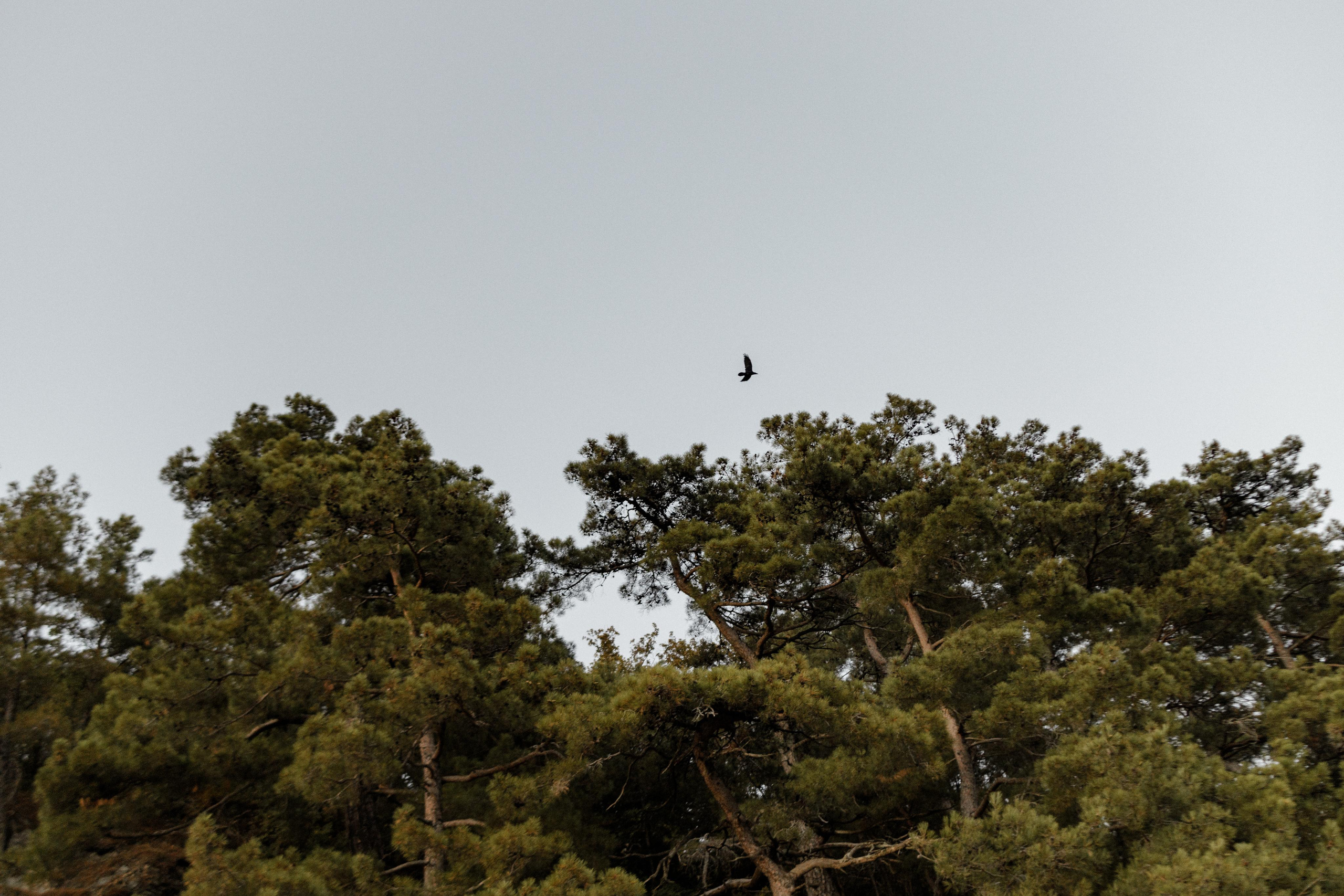 Дмитрий и Наталья