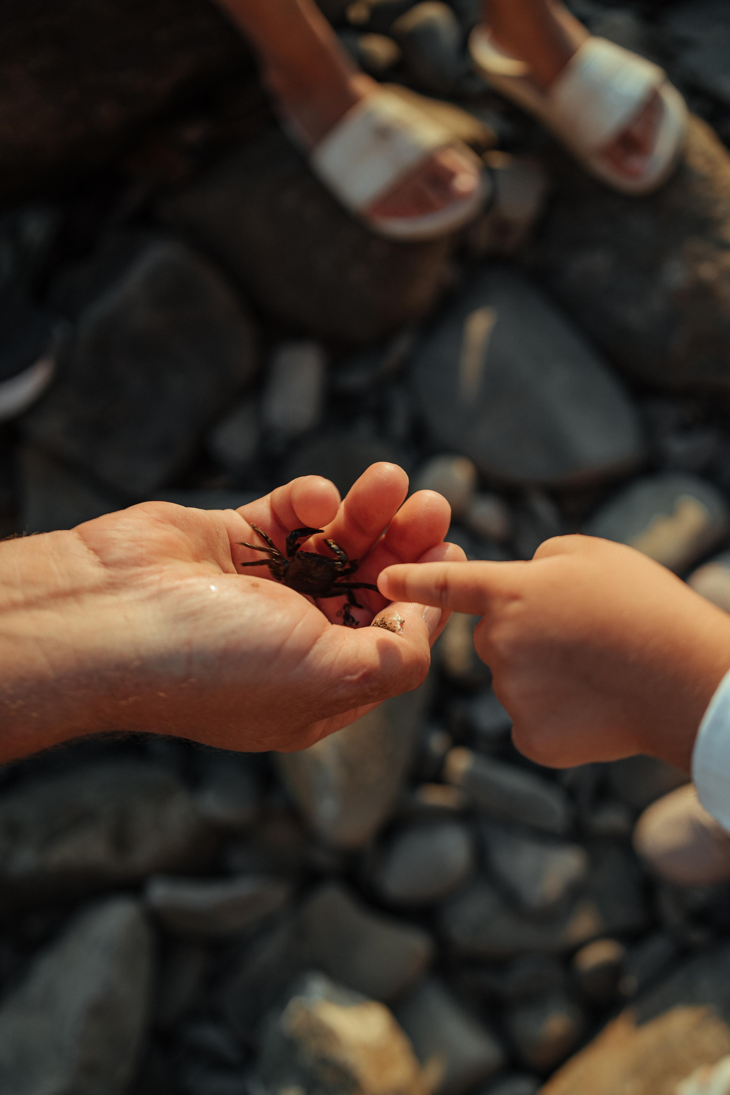 Дмитрий и Наталья