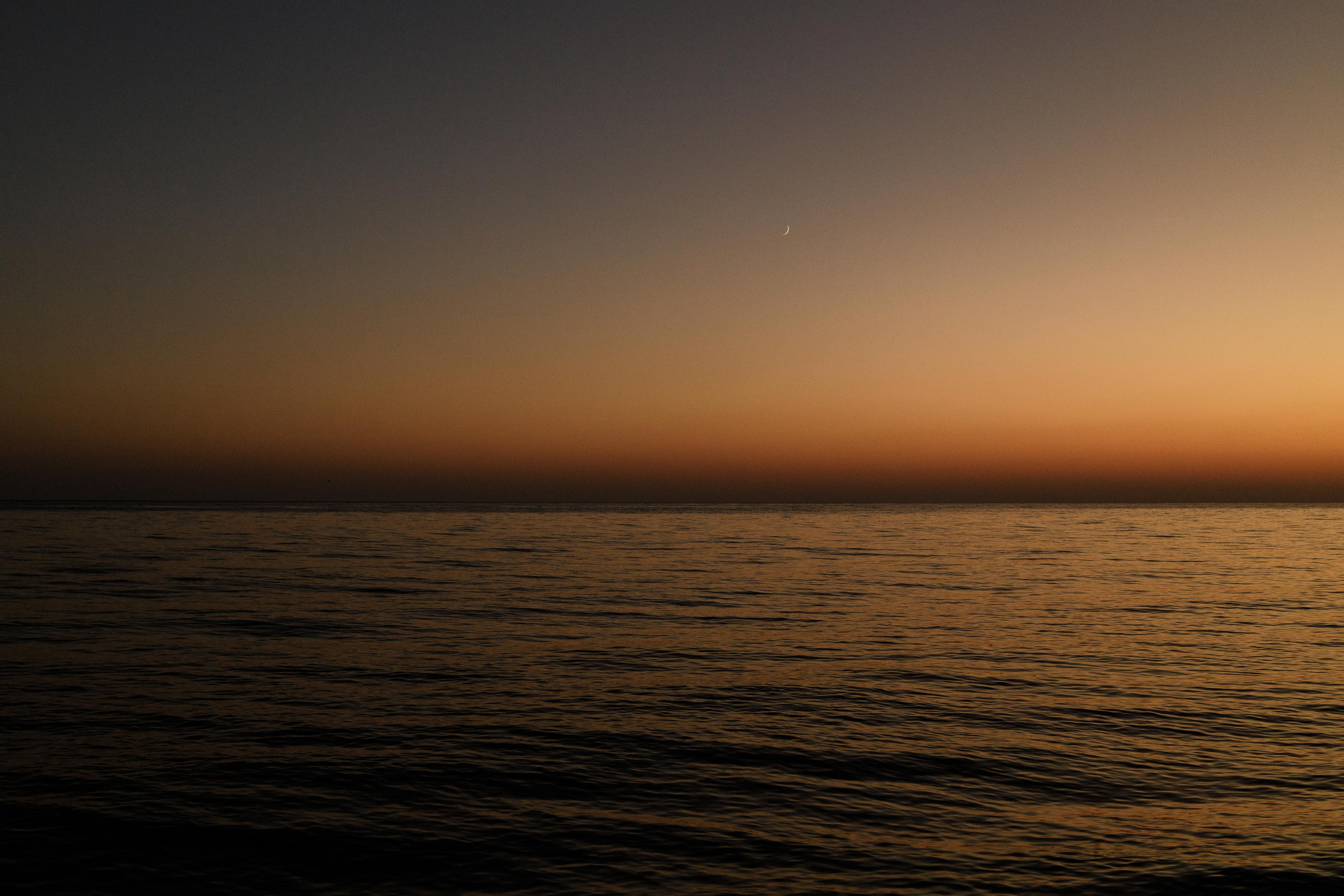 Дмитрий и Наталья