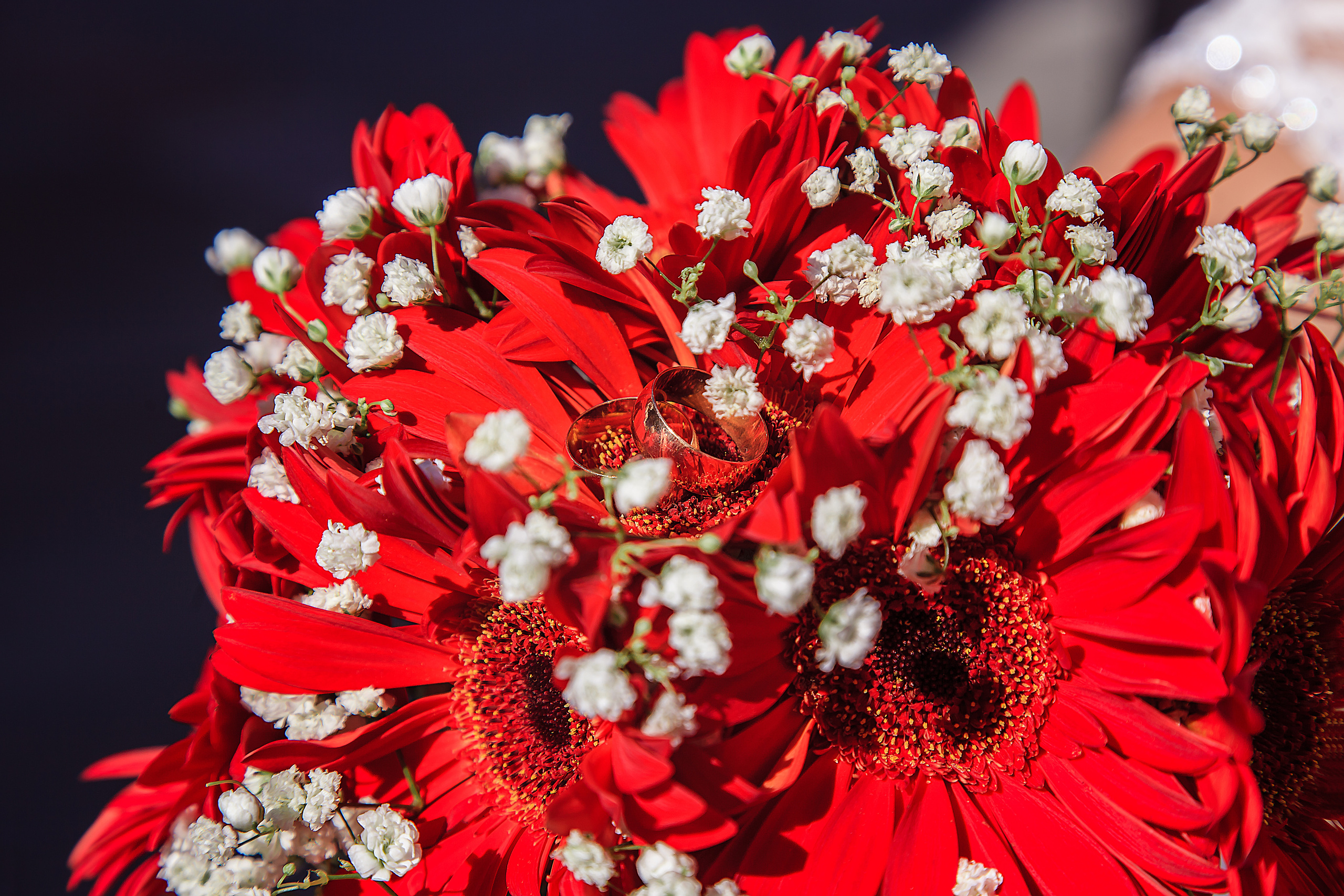 Свадьбы. ФОТОГРАФ НА ГОДИК, БЕРЕМЕННОСТИ, НОВОРОЖДЕННЫХ, КРЕЩЕНИЯ МОСКВА