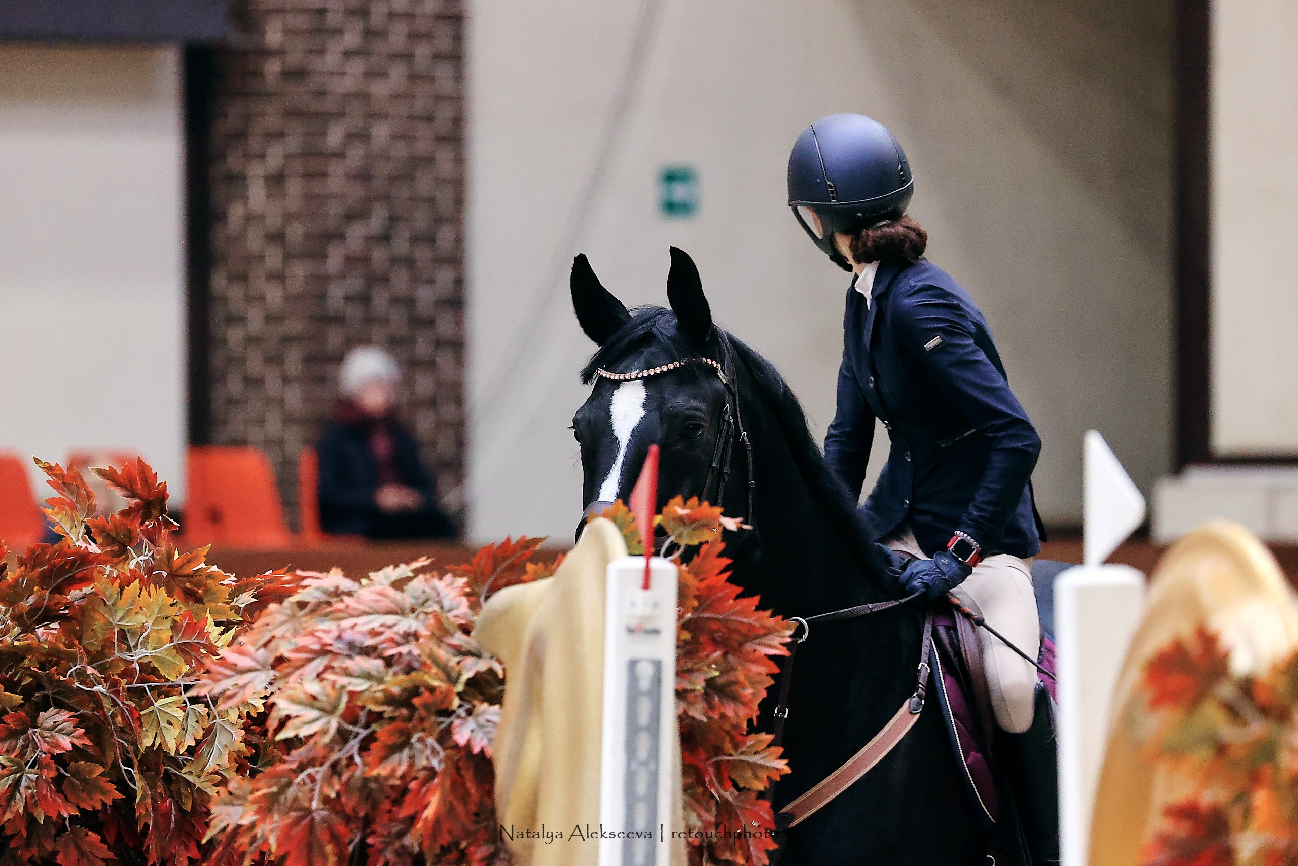 Финал Maxima Park по конкуру, Maxima Stables | 10'2023. Репортажный фотограф и ретушер в Москве Наталья Алексеева