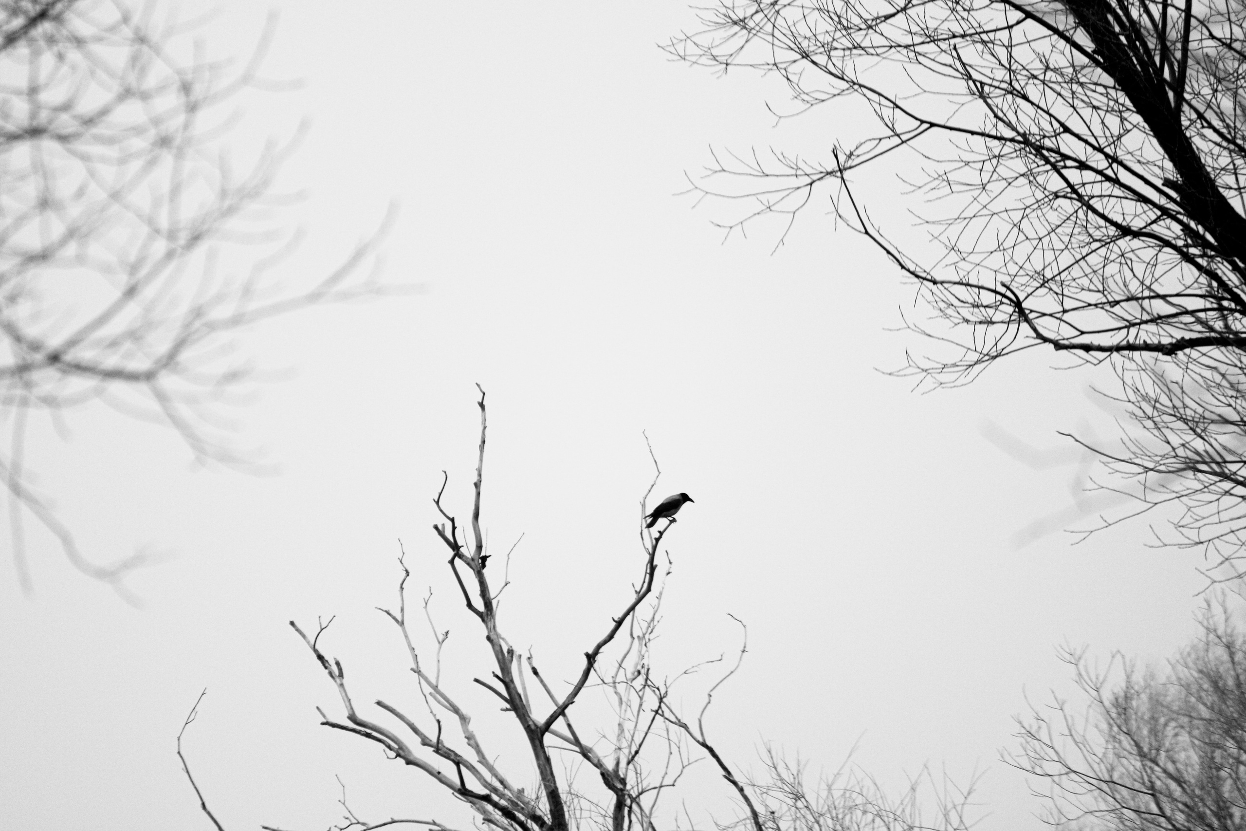 О себе. Фотограф Наталья Мершина