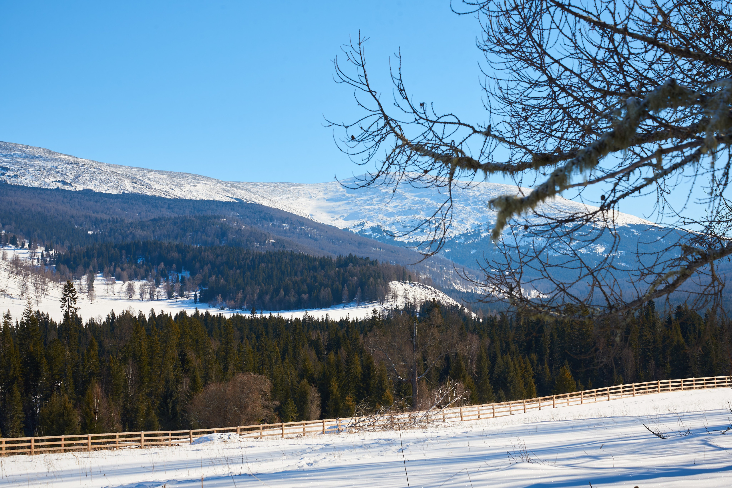 Сны Алтая. Семейный фотограф в Барнаул/Горный Алтай, Аренда дома в горах