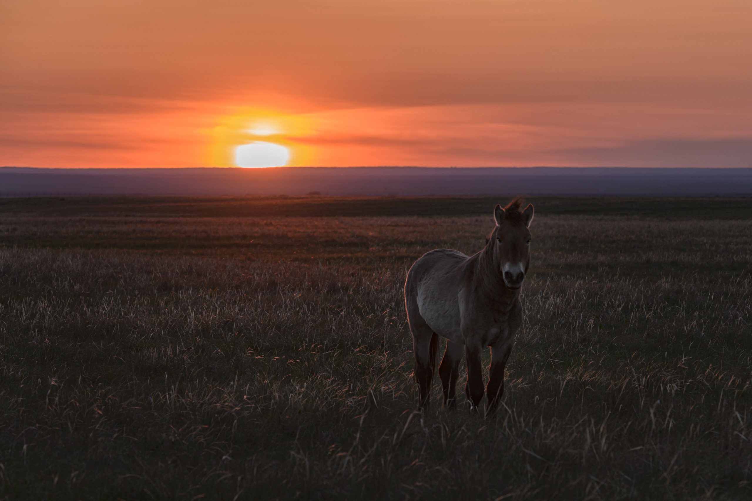 Оренбуржье. Портретный фотограф в Челябинске Катерина Руди