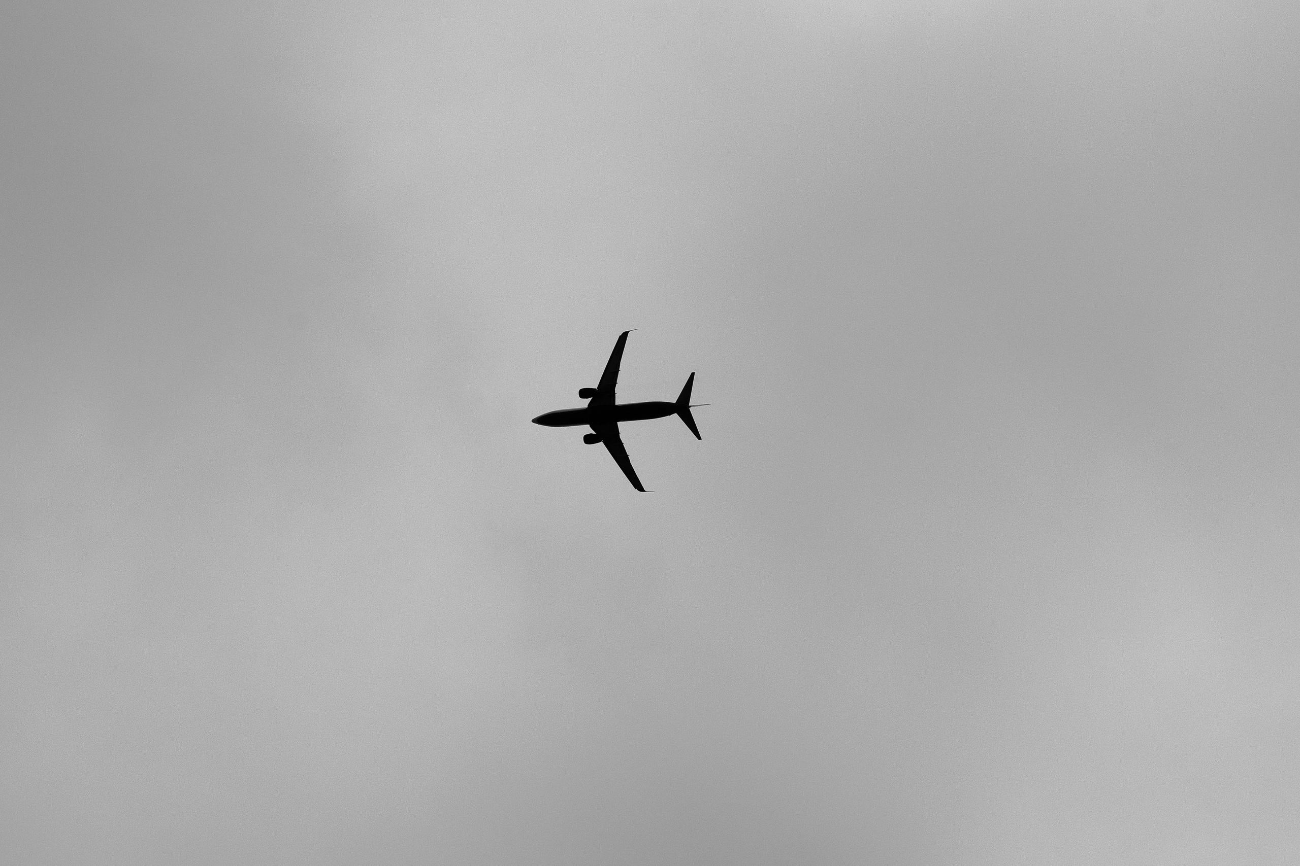 Александра и Александр. Свадебный фотограф Ростов-на-Дону Виолетта veslers.ph