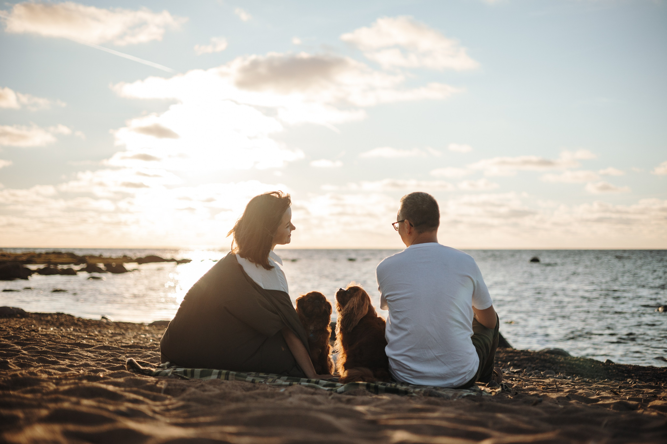 Верон, Гарри и их семья. Фотограф — Анималист | Санкт-Петербург