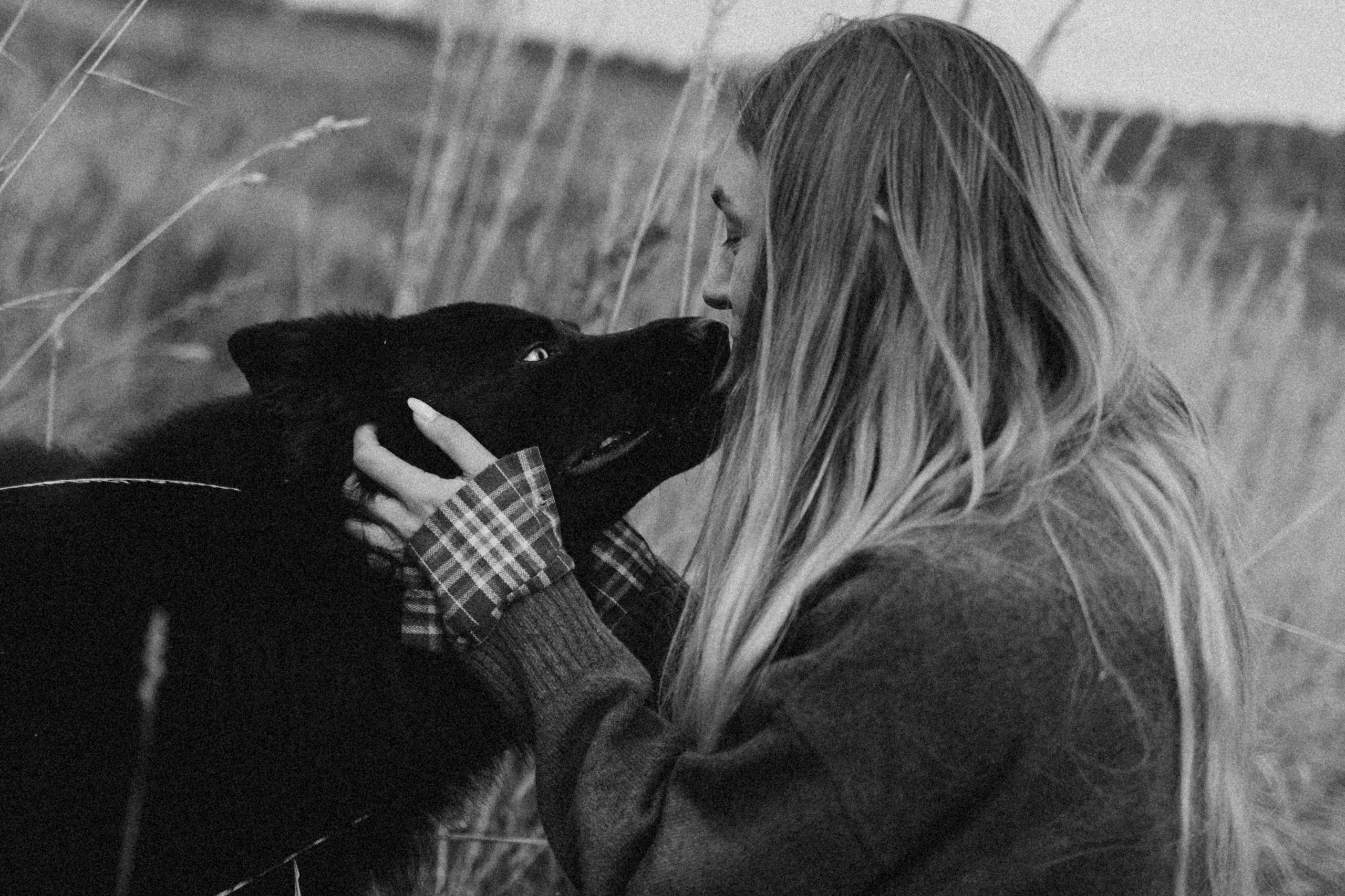 Лора и Джанго. Фотограф — Анималист | Санкт-Петербург