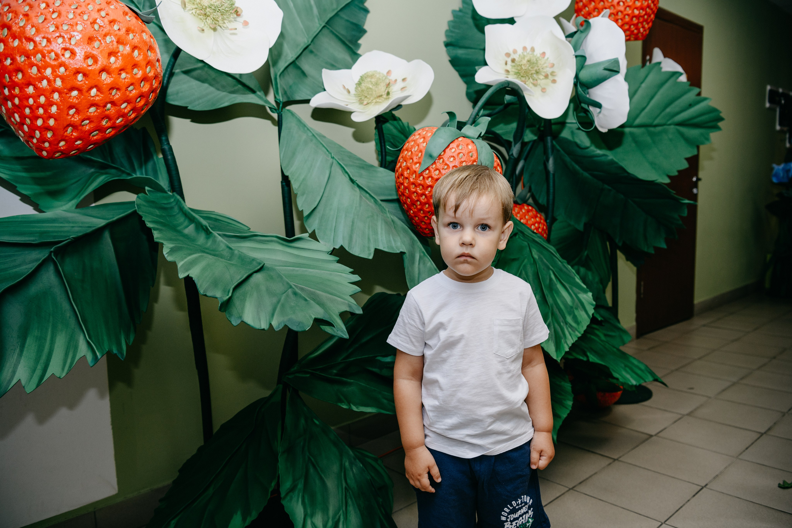 Волшебная страна. Фотограф на выписку из роддома в Москве и МО