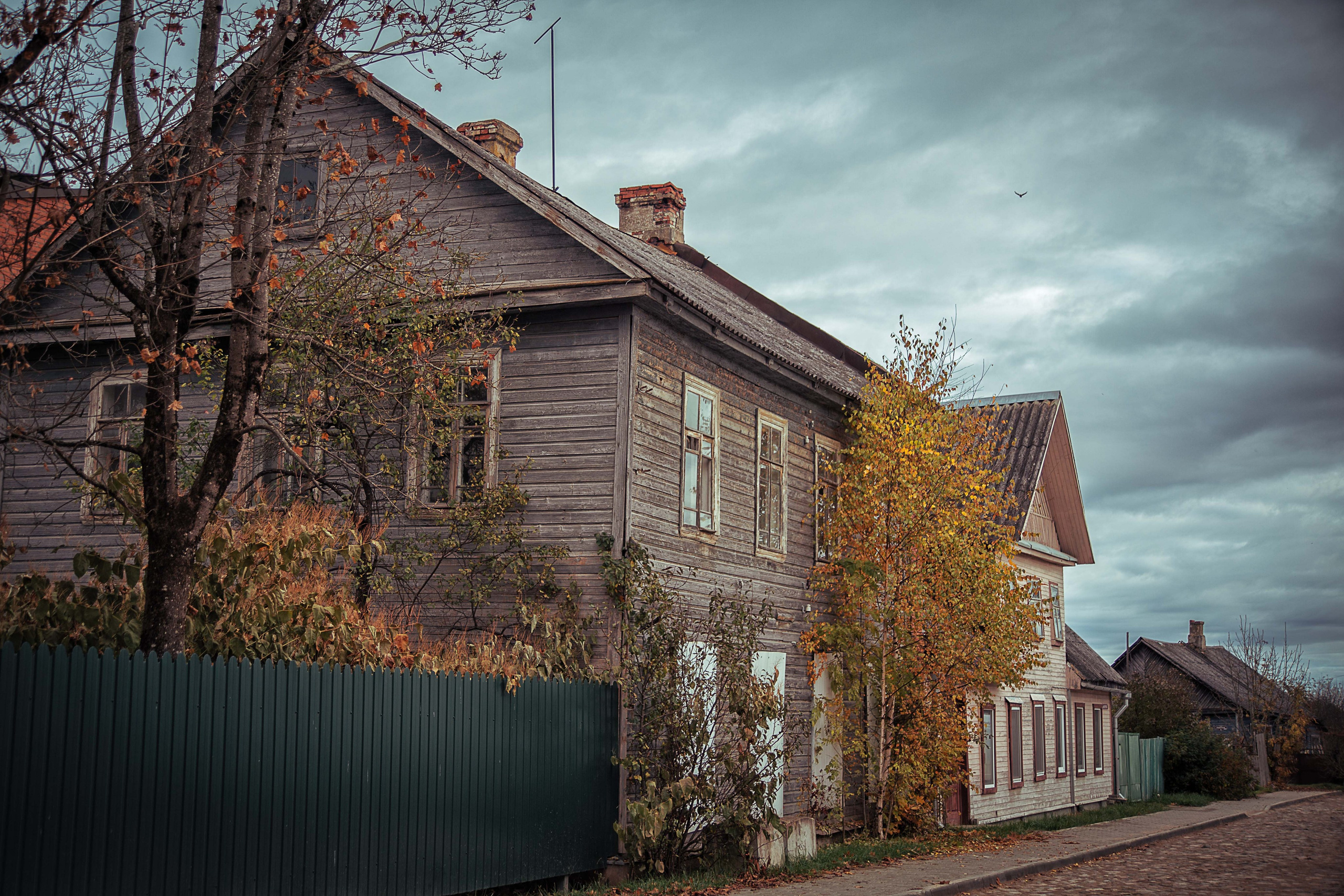 Печеры. Семейный и детский фотограф в Москве Ольга Кривенцова