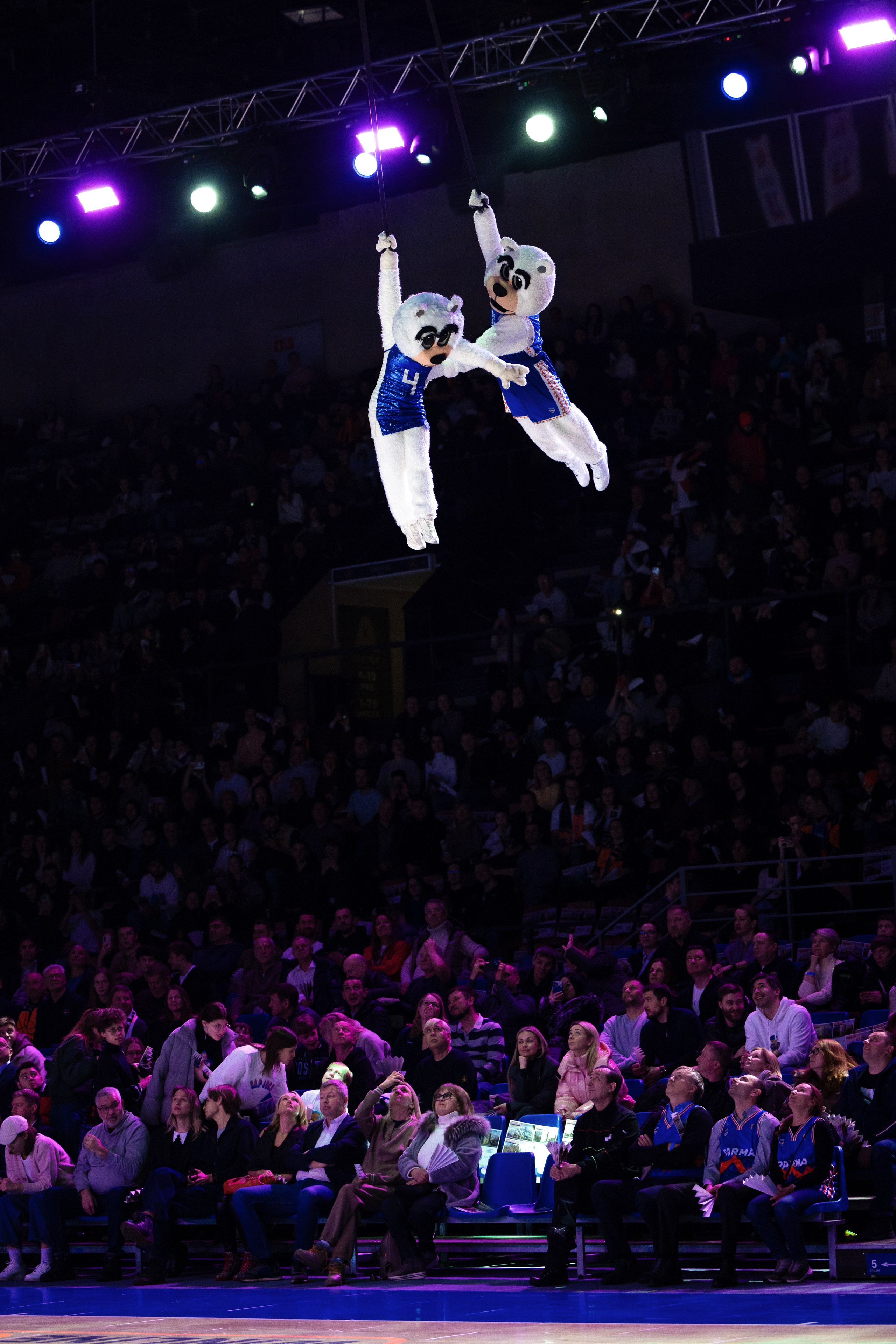 БЕТСИТИ ПАРМА — Локомотив-Кубань. Репортажный фотограф