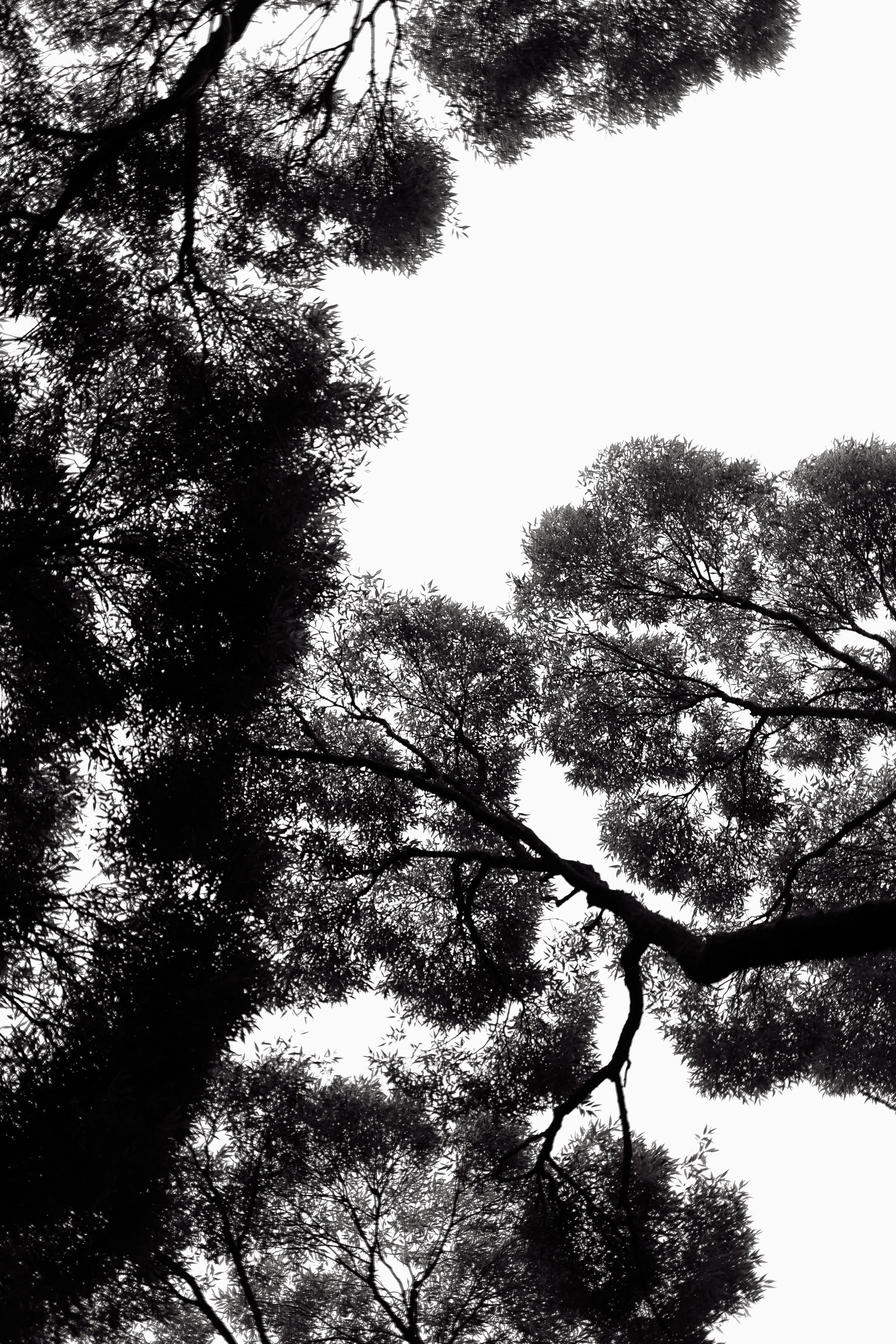 Свадьба Андрея и Екатерины. Фотограф Кольчугино/Владимир/Москва Елизавета Иода