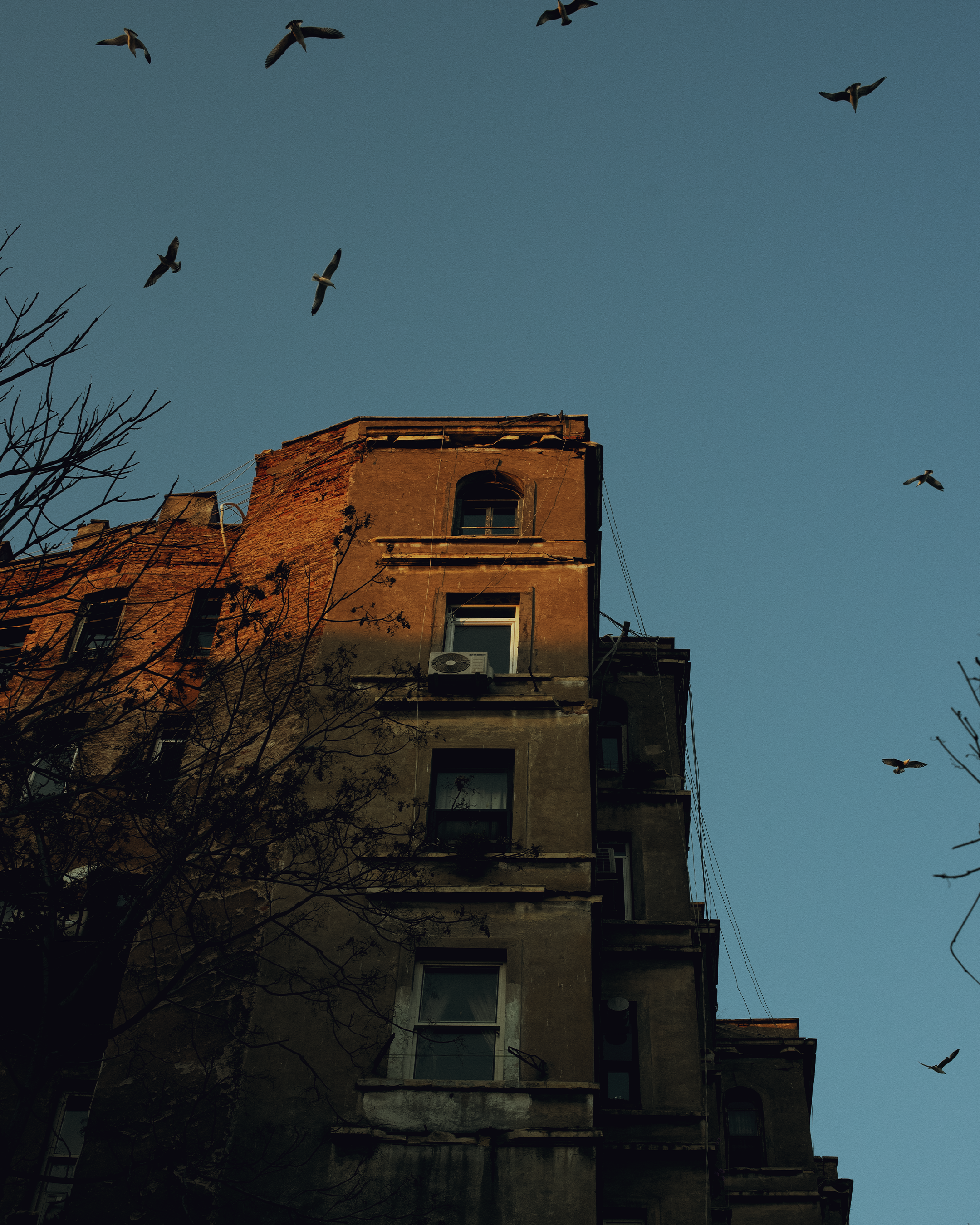 Стамбул глазами фотографа: вдохновение на границе двух миров. Коммерческий и предметный фотограф в Гуанчжоу Коваленко Александр