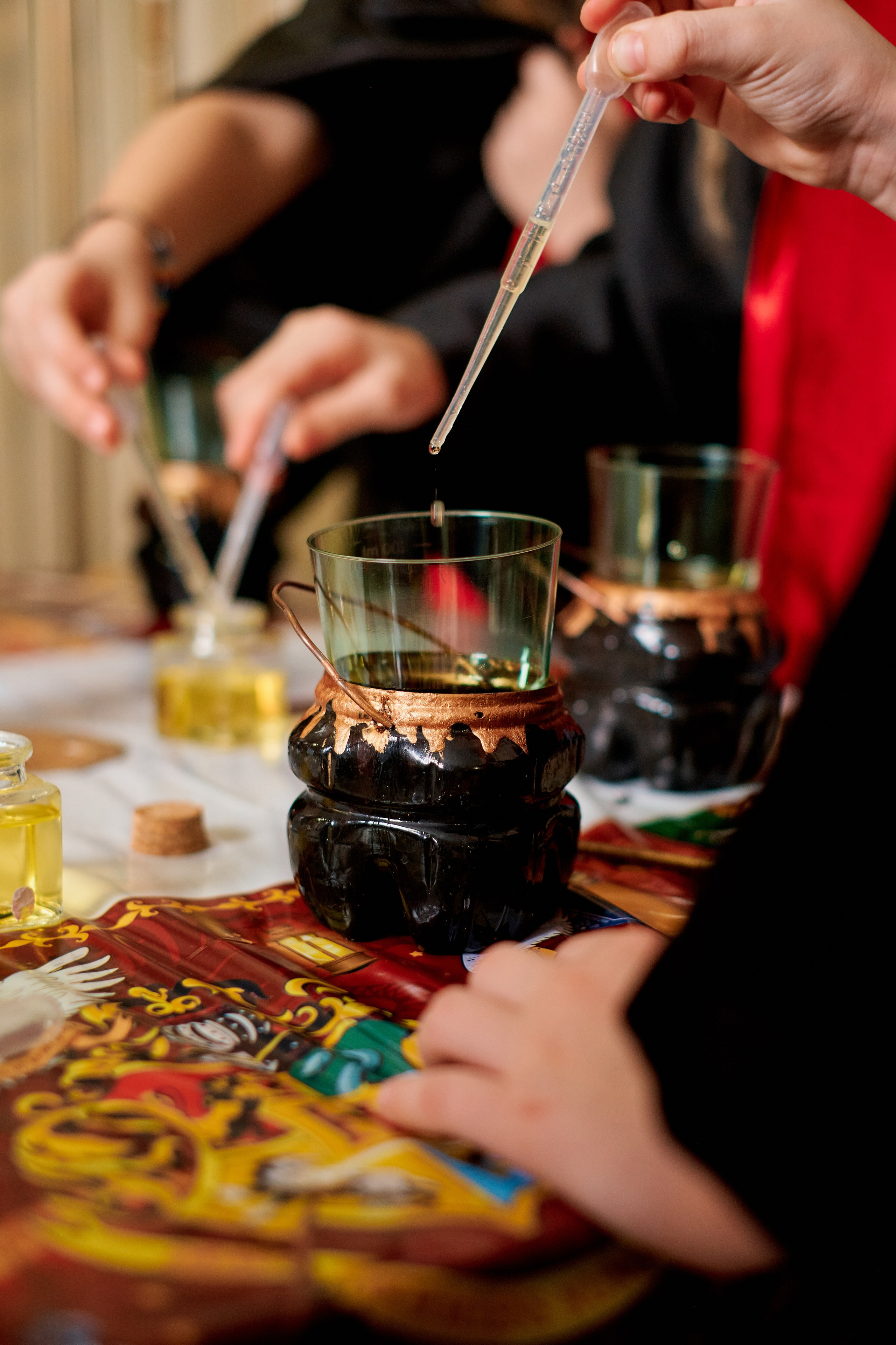 День рождения стиле Гарри Поттер. Фотограф Таганрог Анна Трайжон