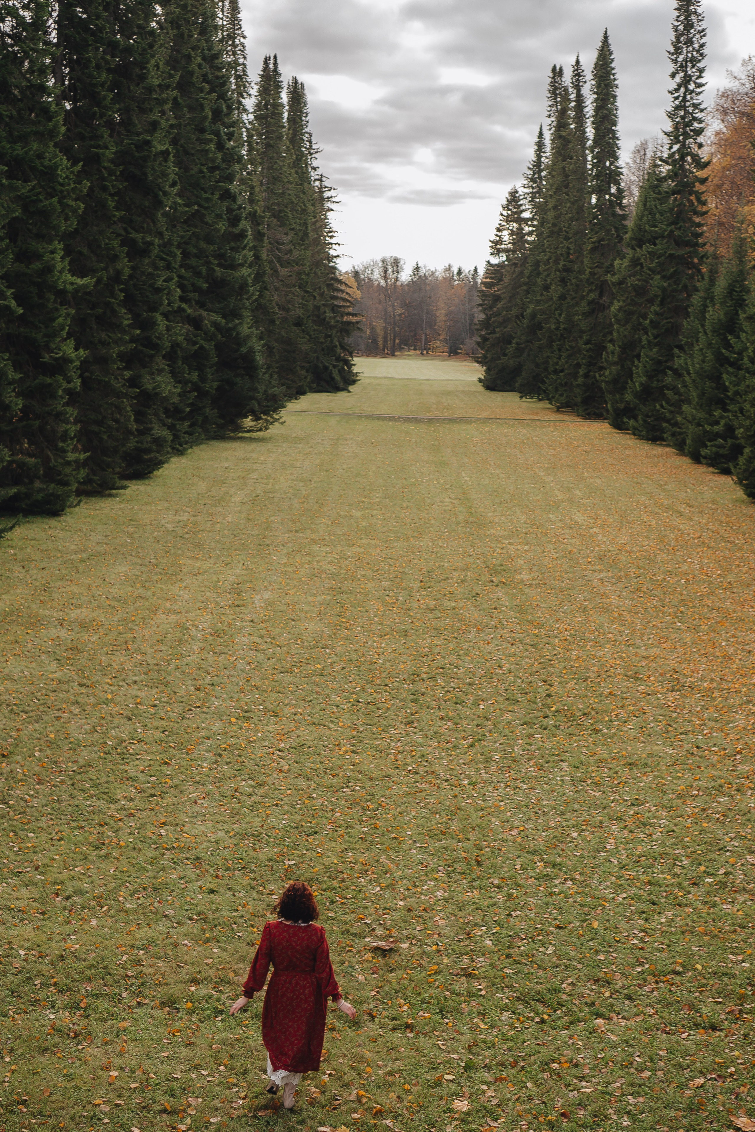 Осенний парк. Профессиональный фотограф, Санкт-Петербург — Виктория Богомолова
