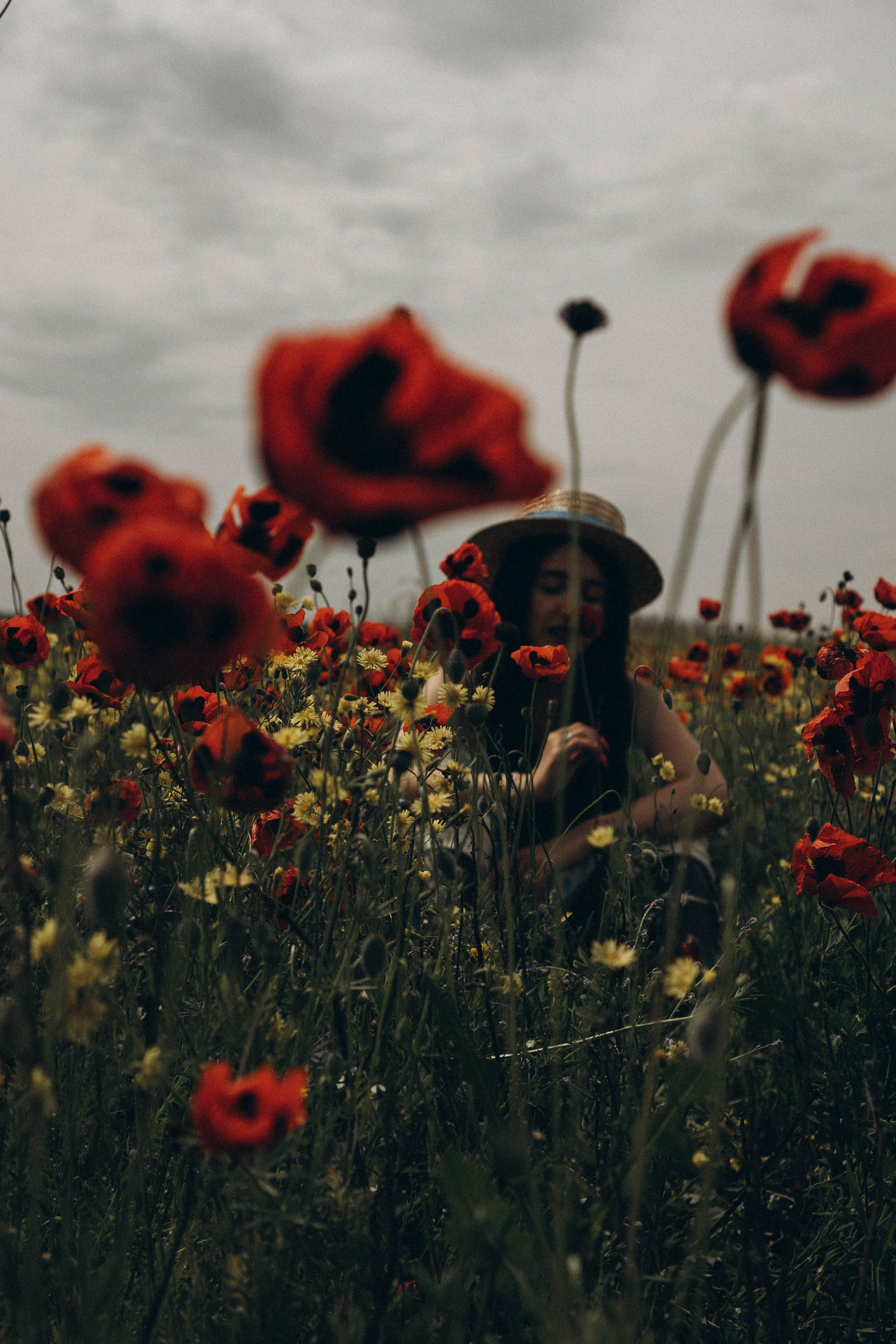 Цветочная поляна. Профессиональный фотограф, Санкт-Петербург — Виктория Богомолова