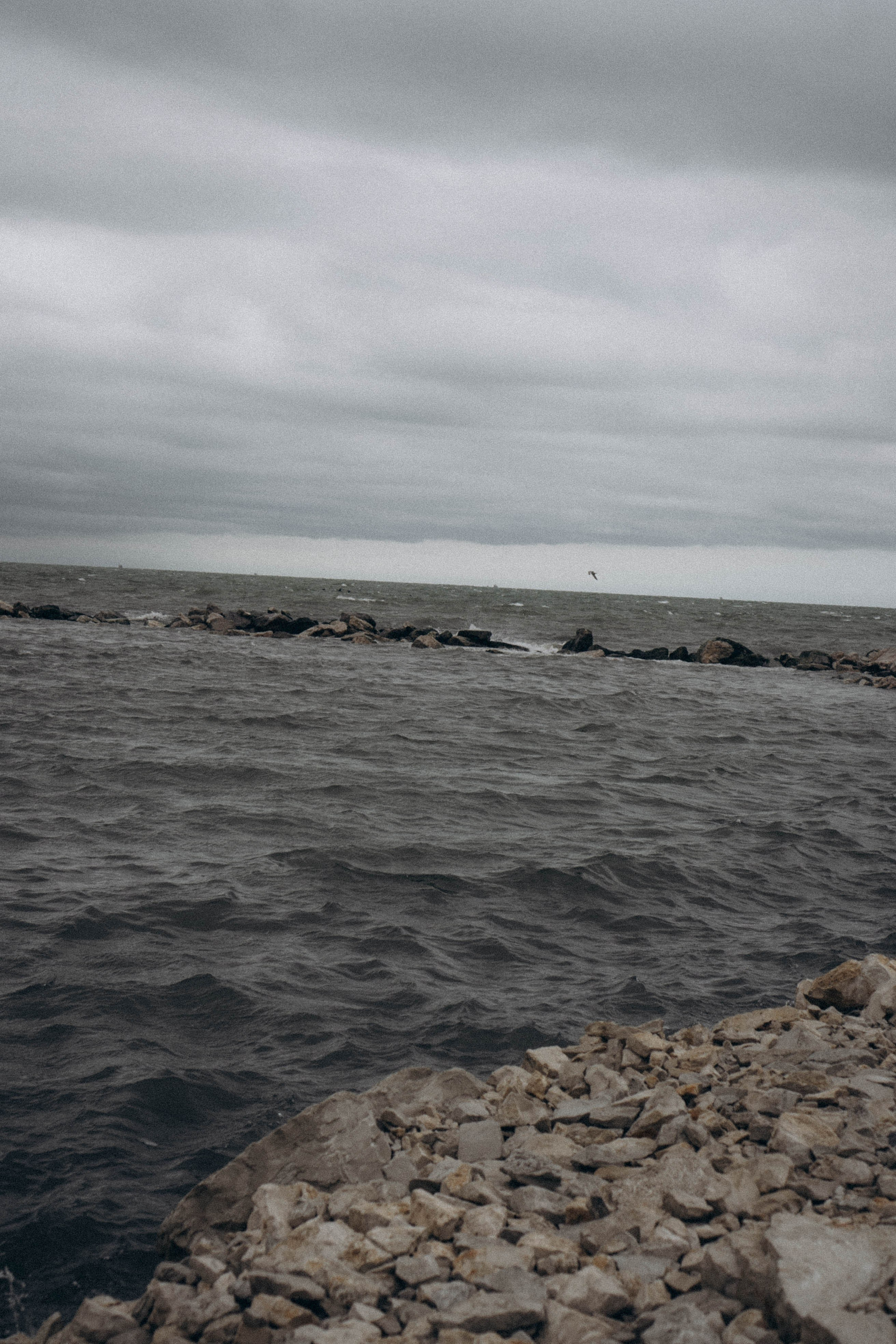 Кавказ. Профессиональный фотограф, Санкт-Петербург — Виктория Богомолова