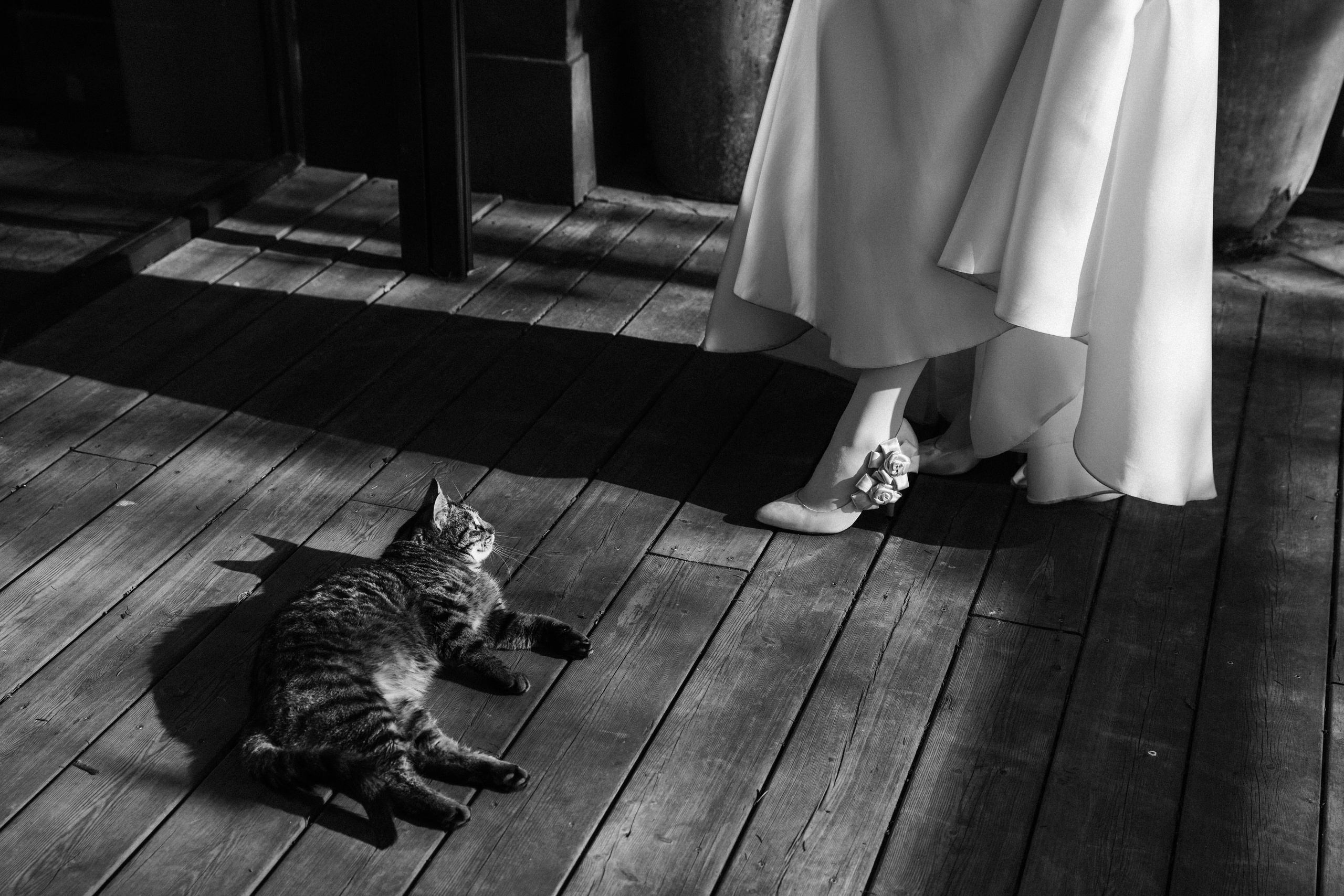 Анна и Роман. Фотограф Зеленоградск Красильникова Елена