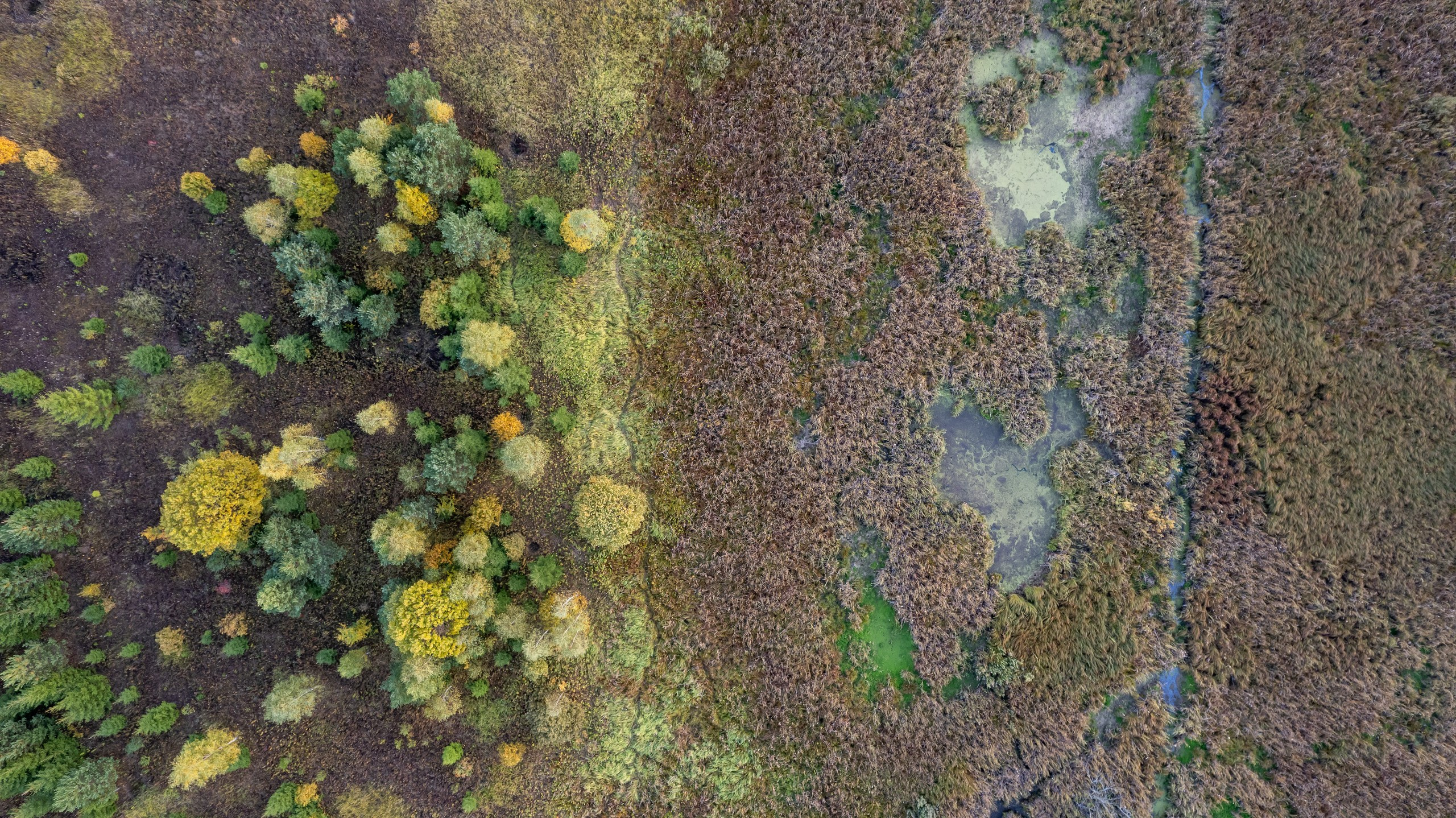 Аэрофотосъёмка. Foto-Zuev фотография как искусство
