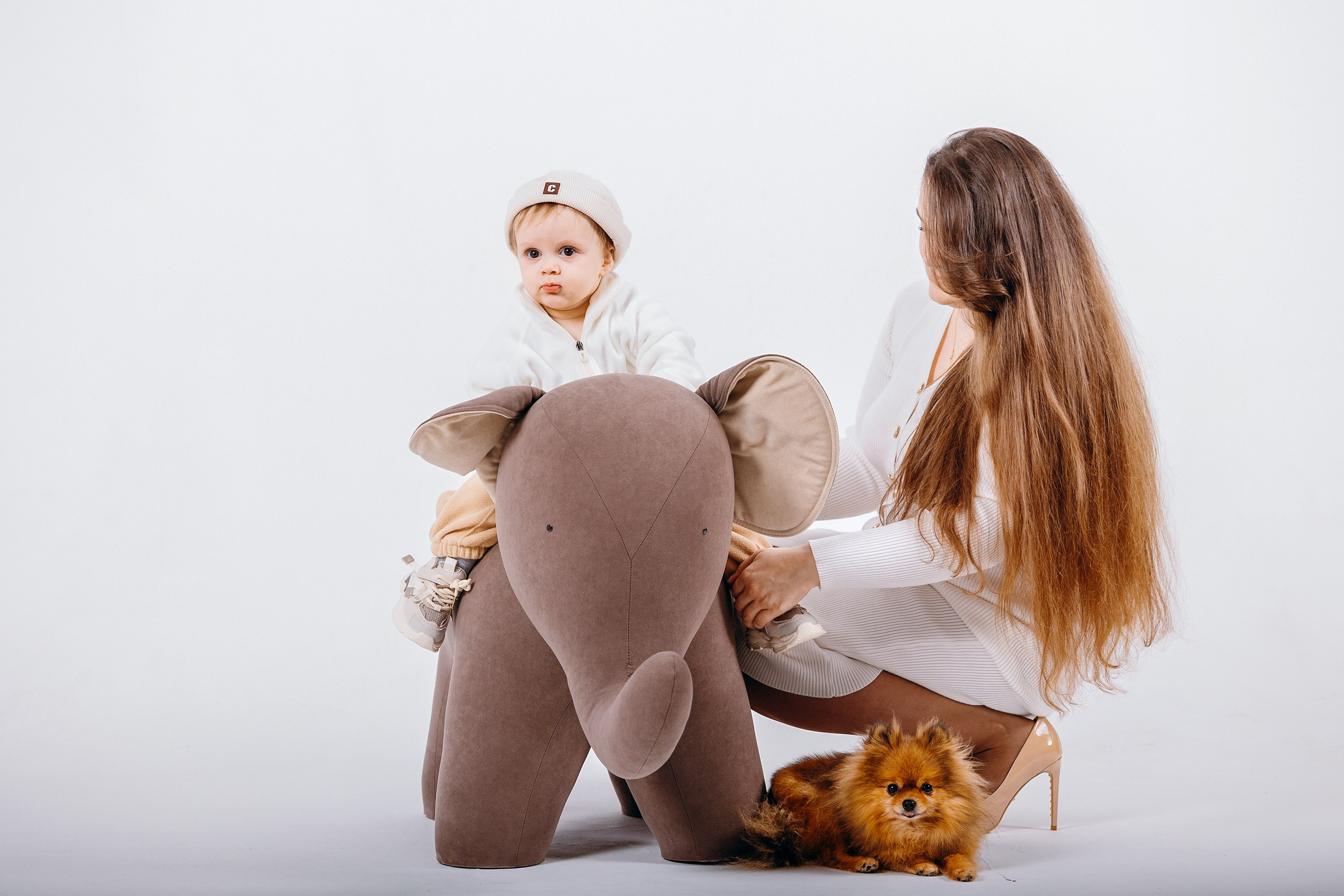 1 год Давиду. Фотограф. Фотограф-анималист. Москва