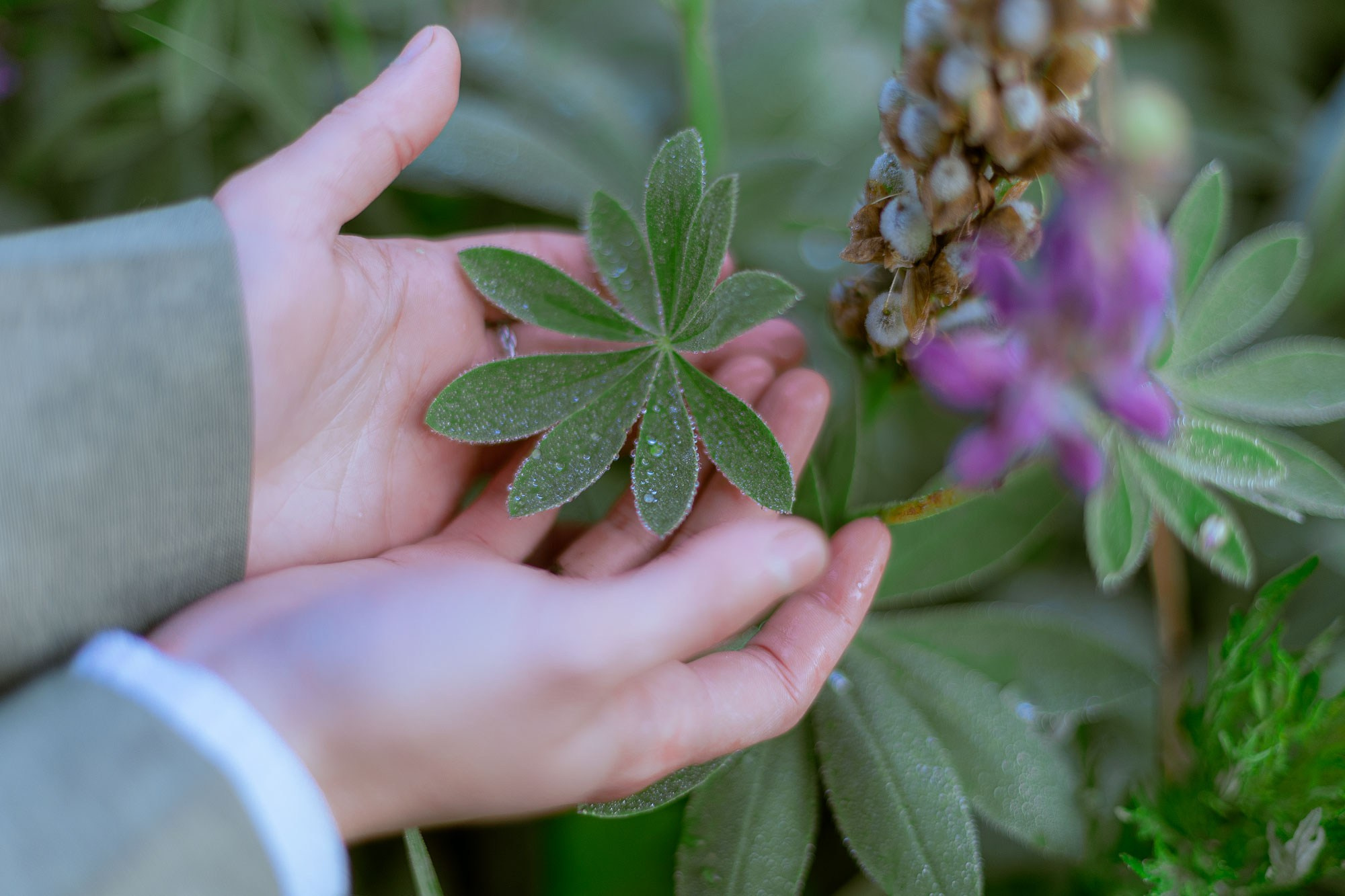 Монолог фармацевта. Репортажный фотограф видеограф в Москве Ольга Плаксина