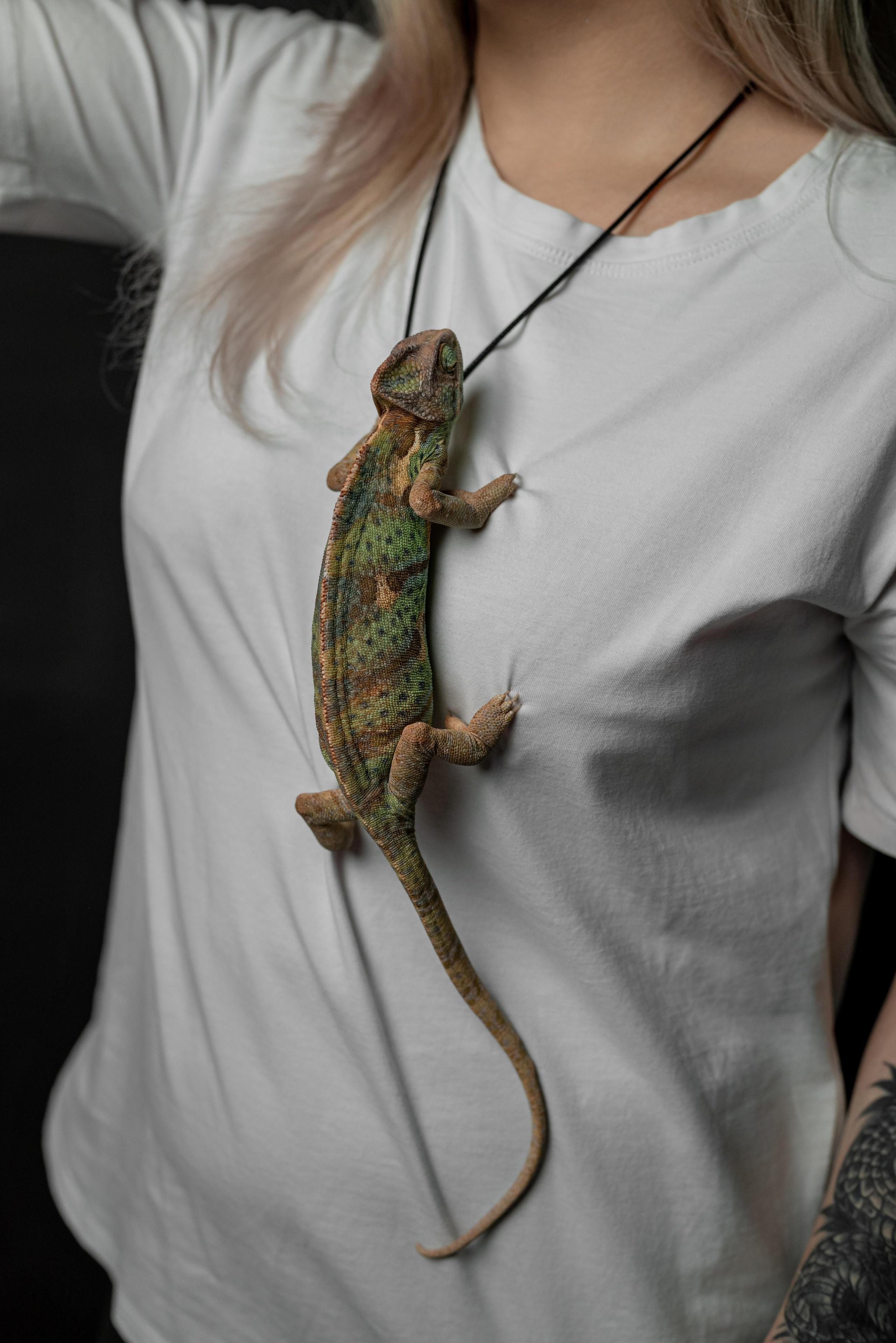 Кристина. Фотограф в городе Салават