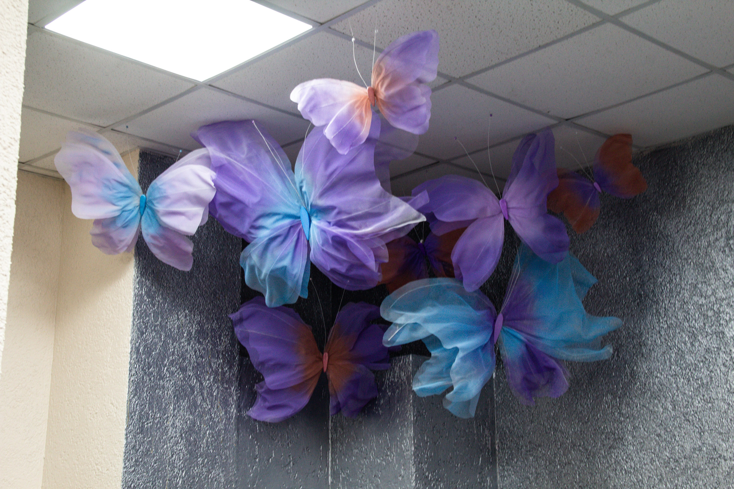 Детский центр. Семейный фотодуэт Ирина и Николай Власьевы. Фотосессии в Новосибирске