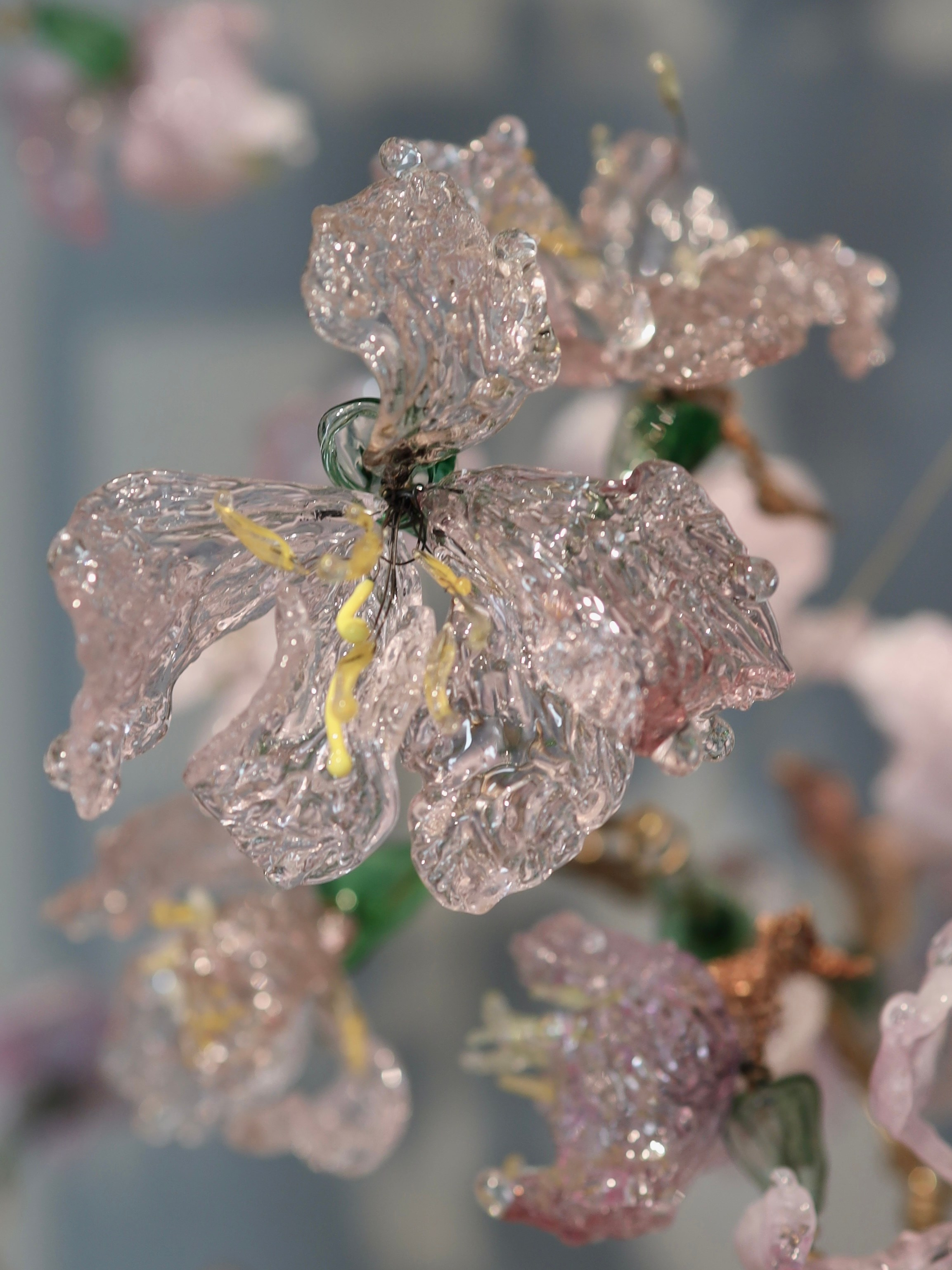 Выставка Степени прозрачности. Фотосессии и репортаж — Фотограф в Москве — Рина Серёгина