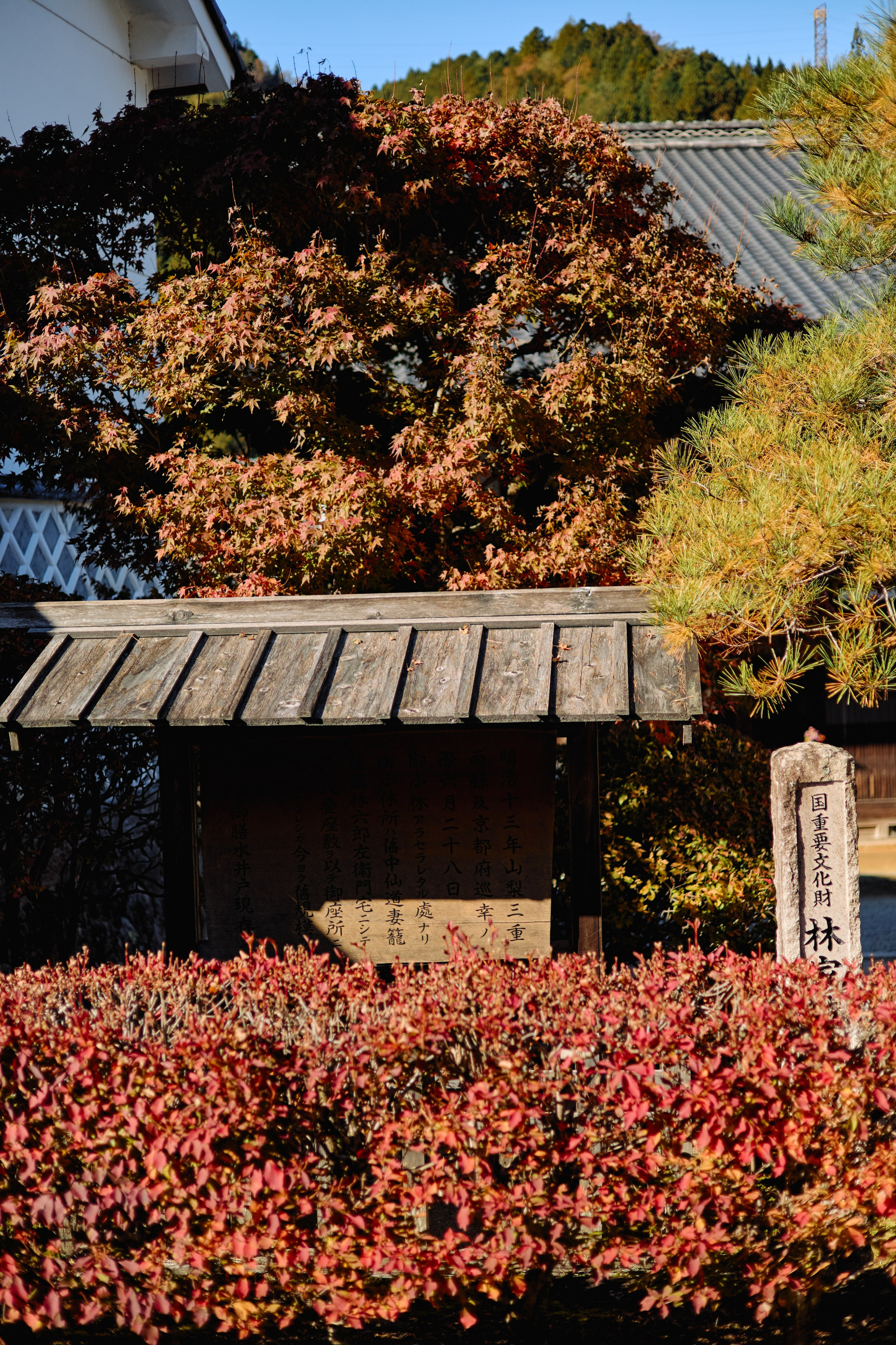 Япония. Профессиональный Фотограф во Владимире, в Москве и в Суздале — Полина Романычева